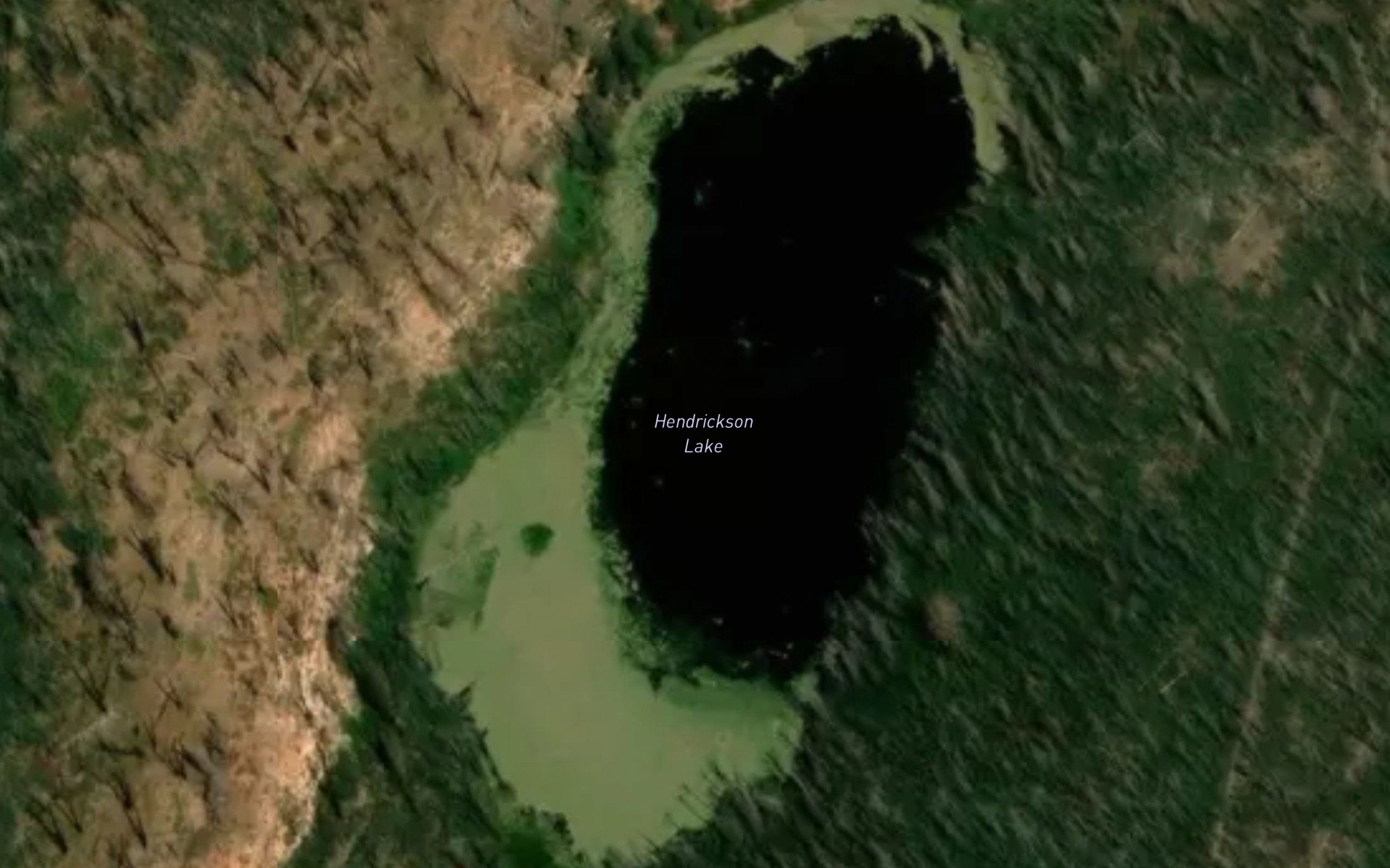 Hendrickson Lake