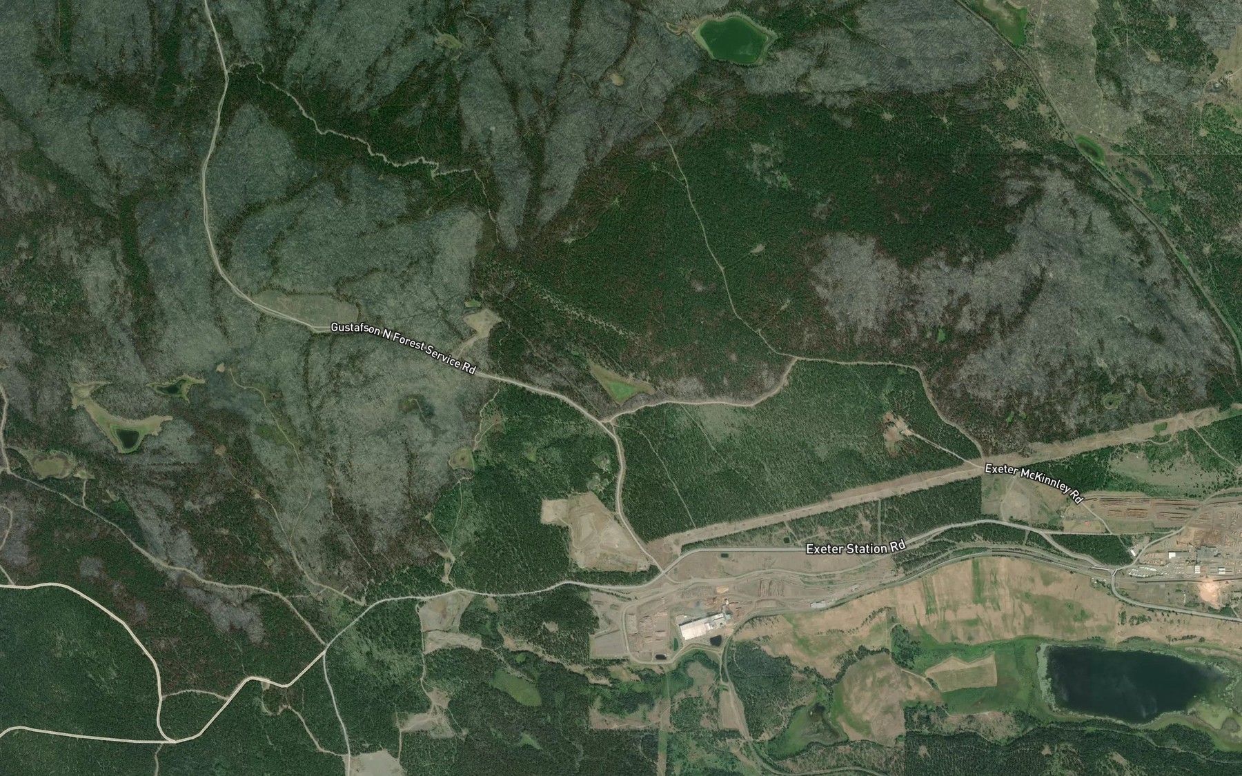 Satellite map of the Scout Lake