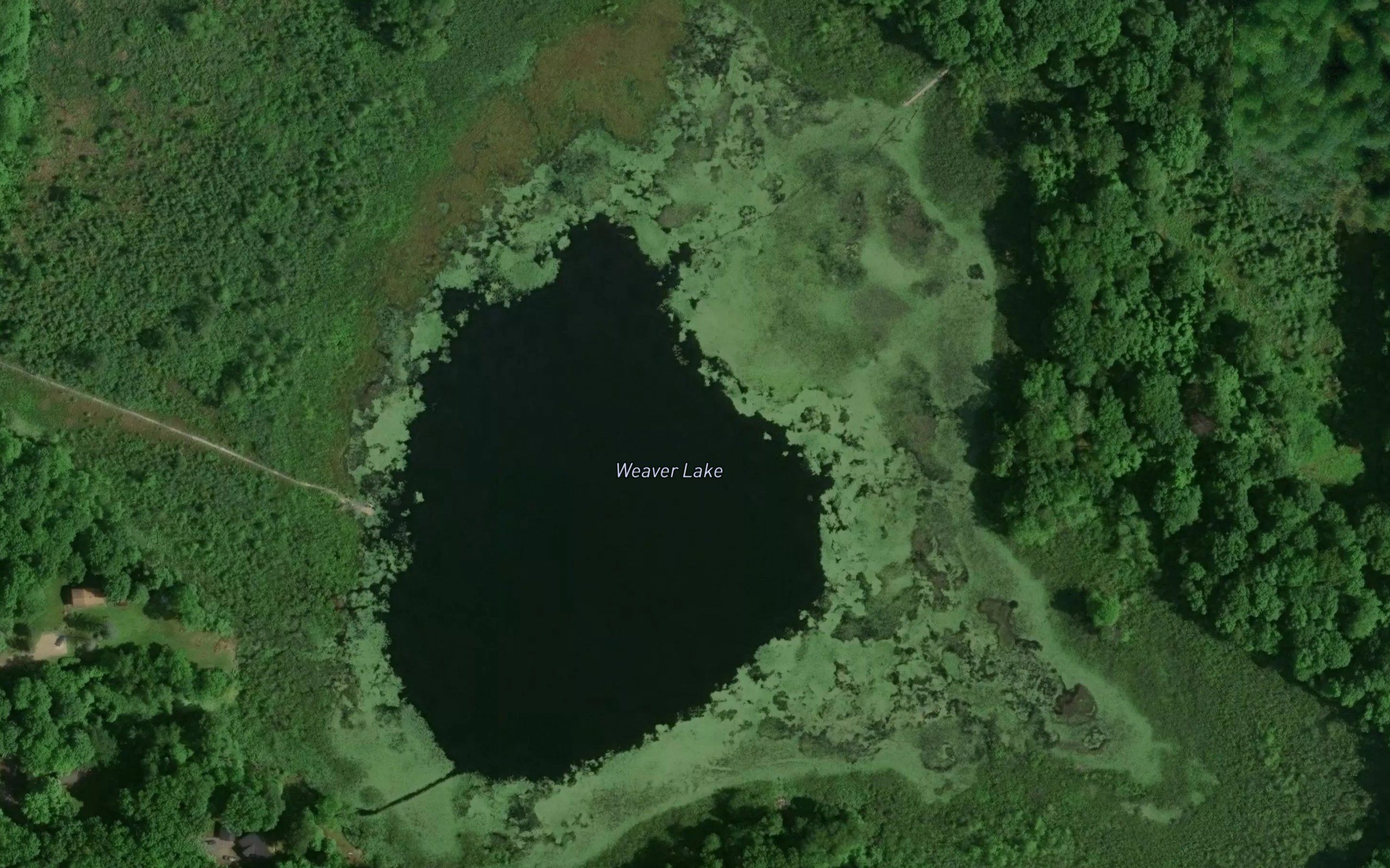 Weaver Lake