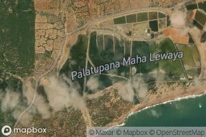 Palatupana Maha Lewaya
