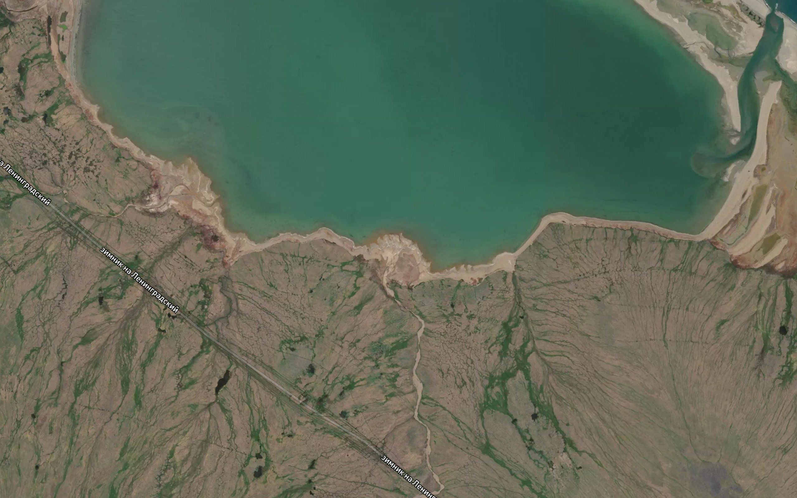 Turkach