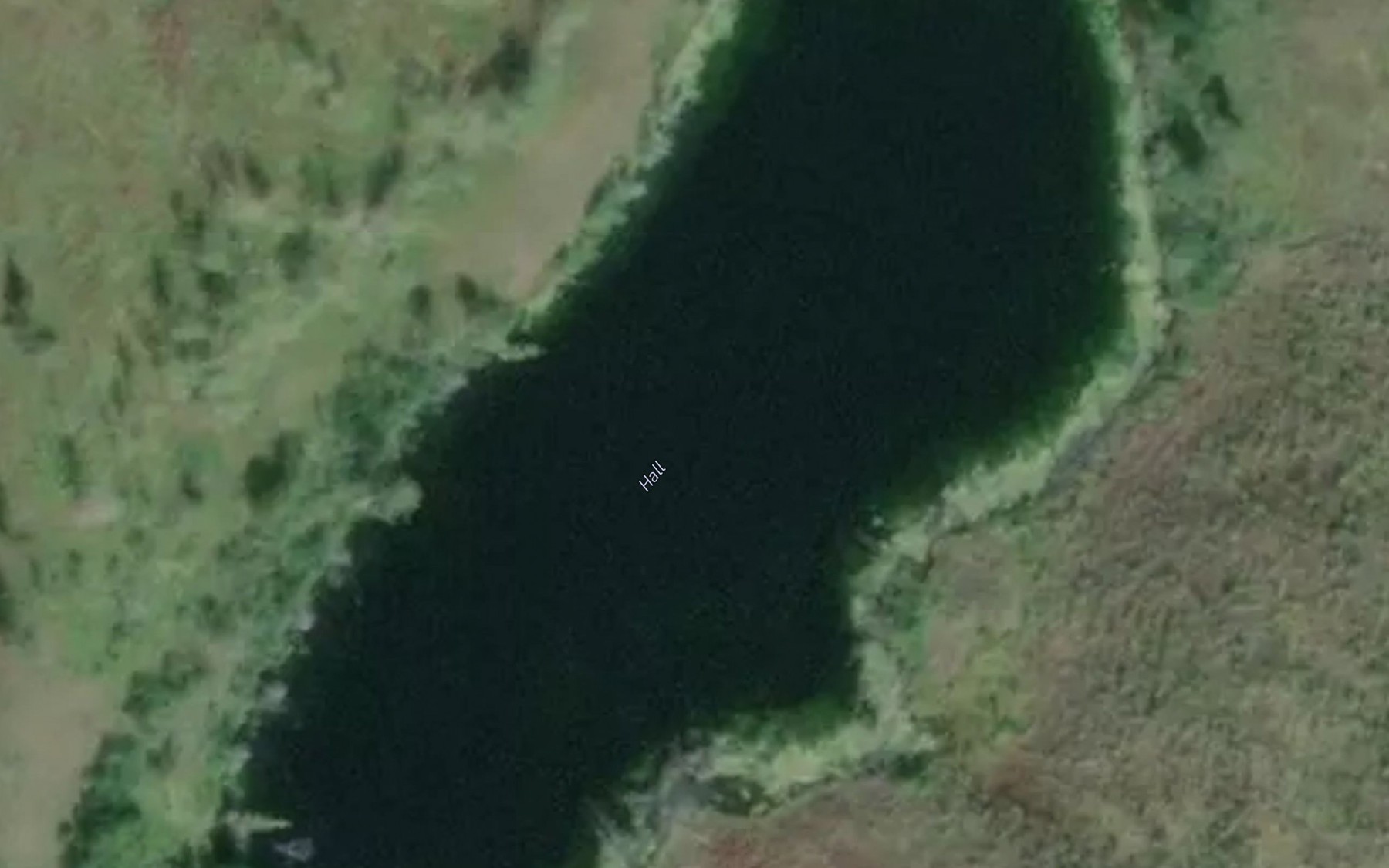Satellite map of the Lake Hall