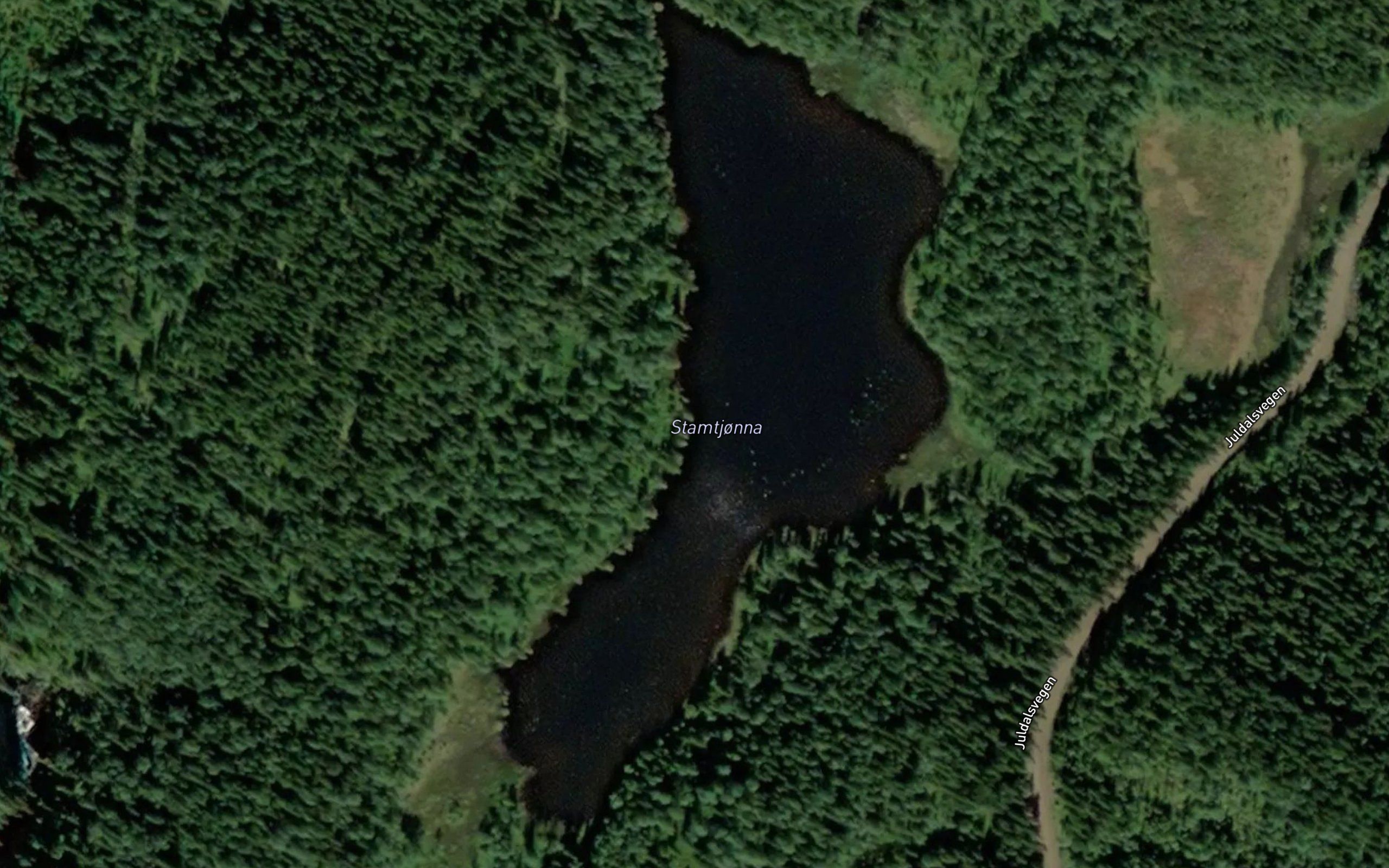 Stamtjonna