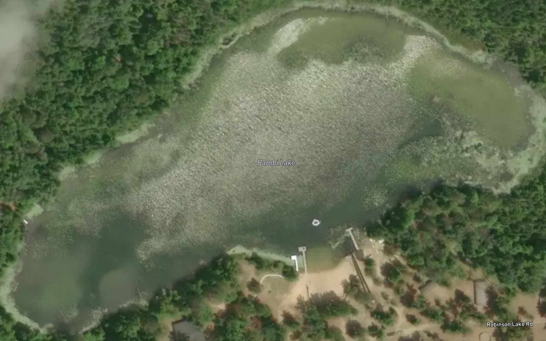 Satellite map of the Bambi Lake