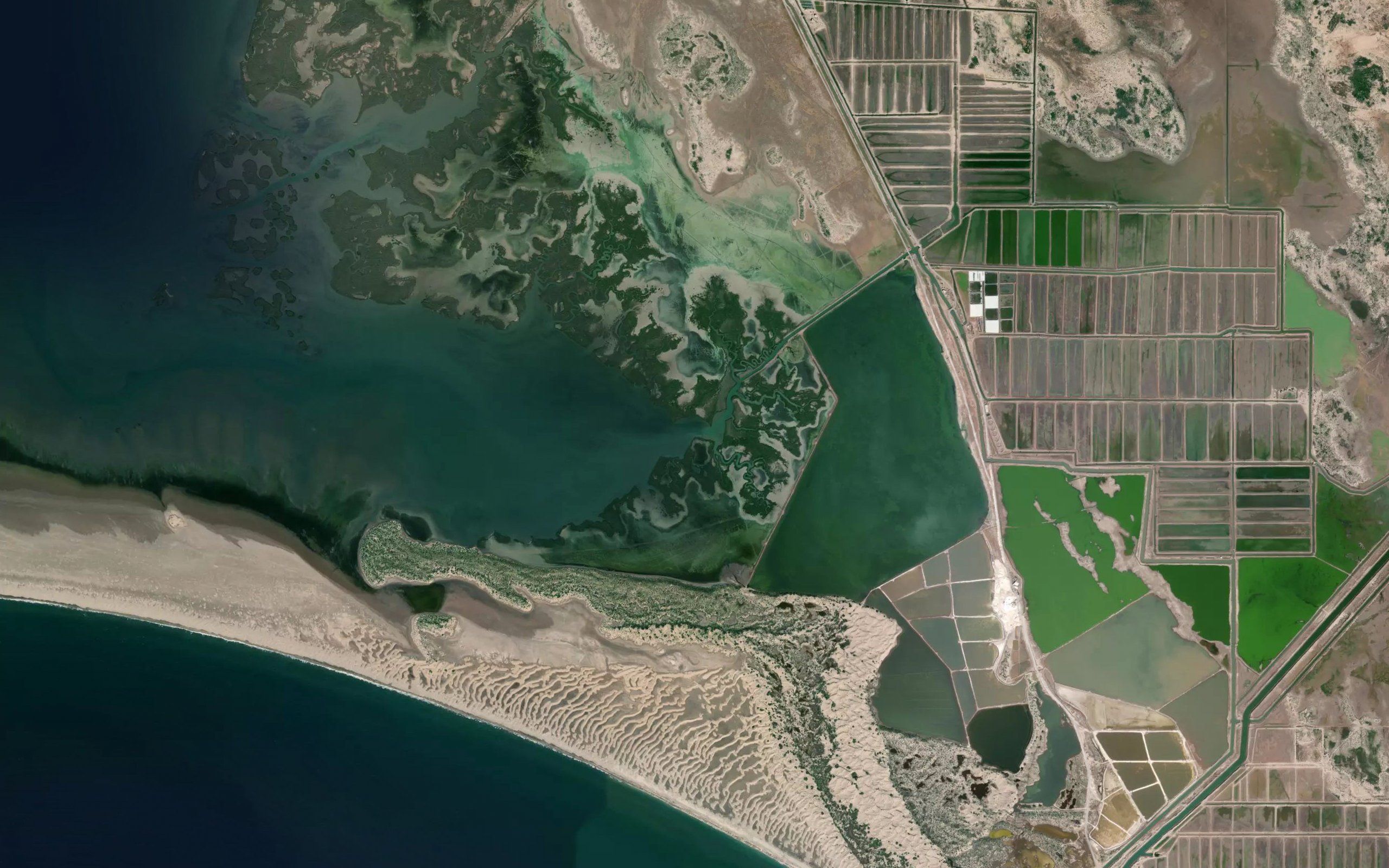 Estero Tosalcahui