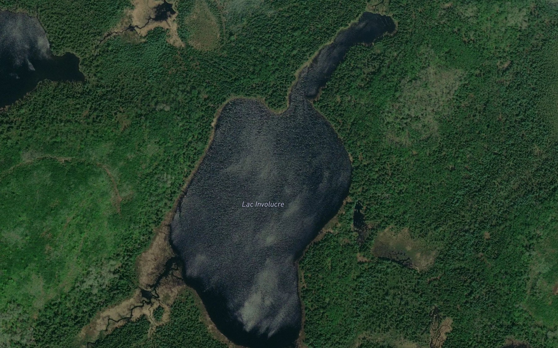 Satellite map of the Lac Involucre