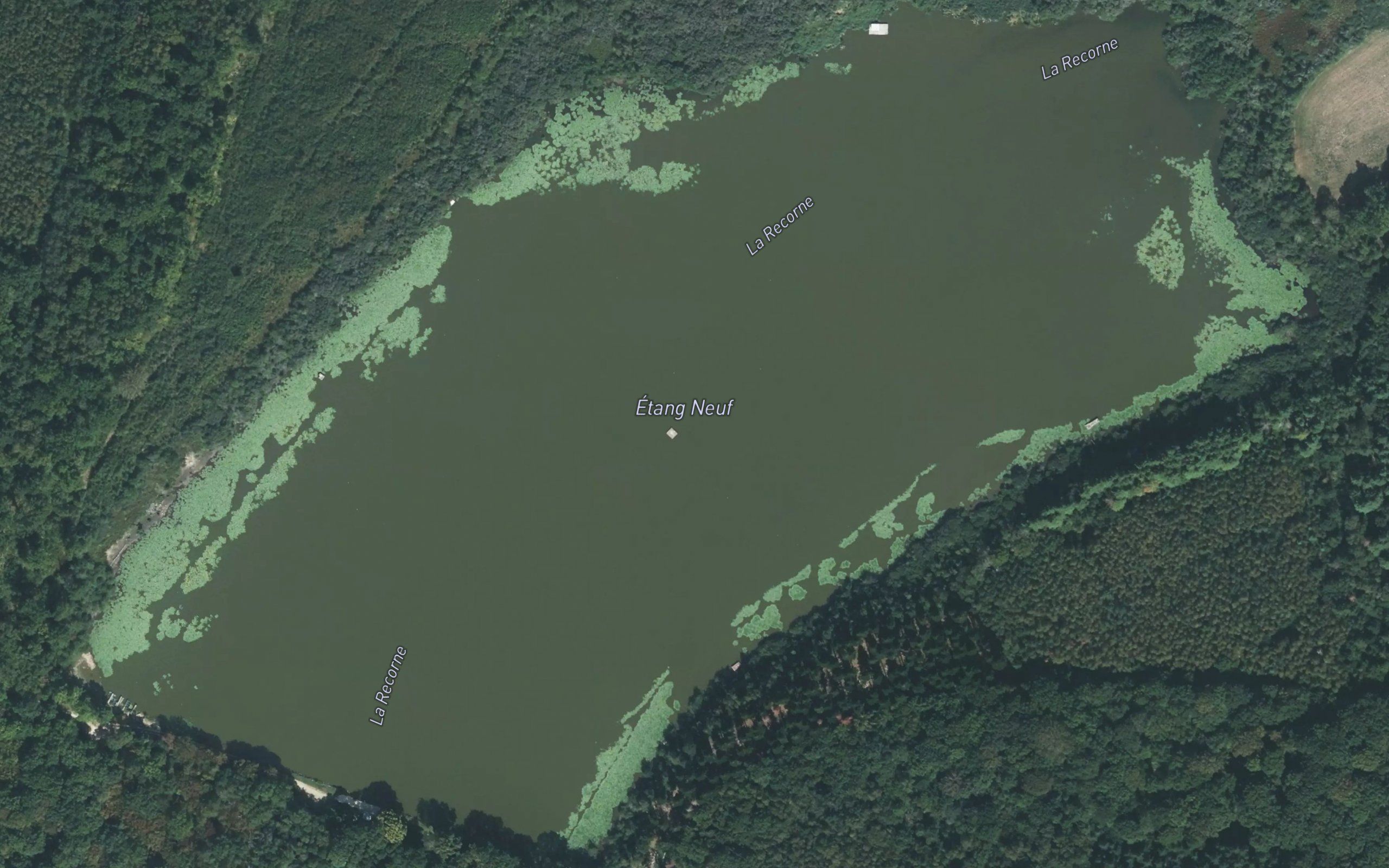 Etang Neuf
