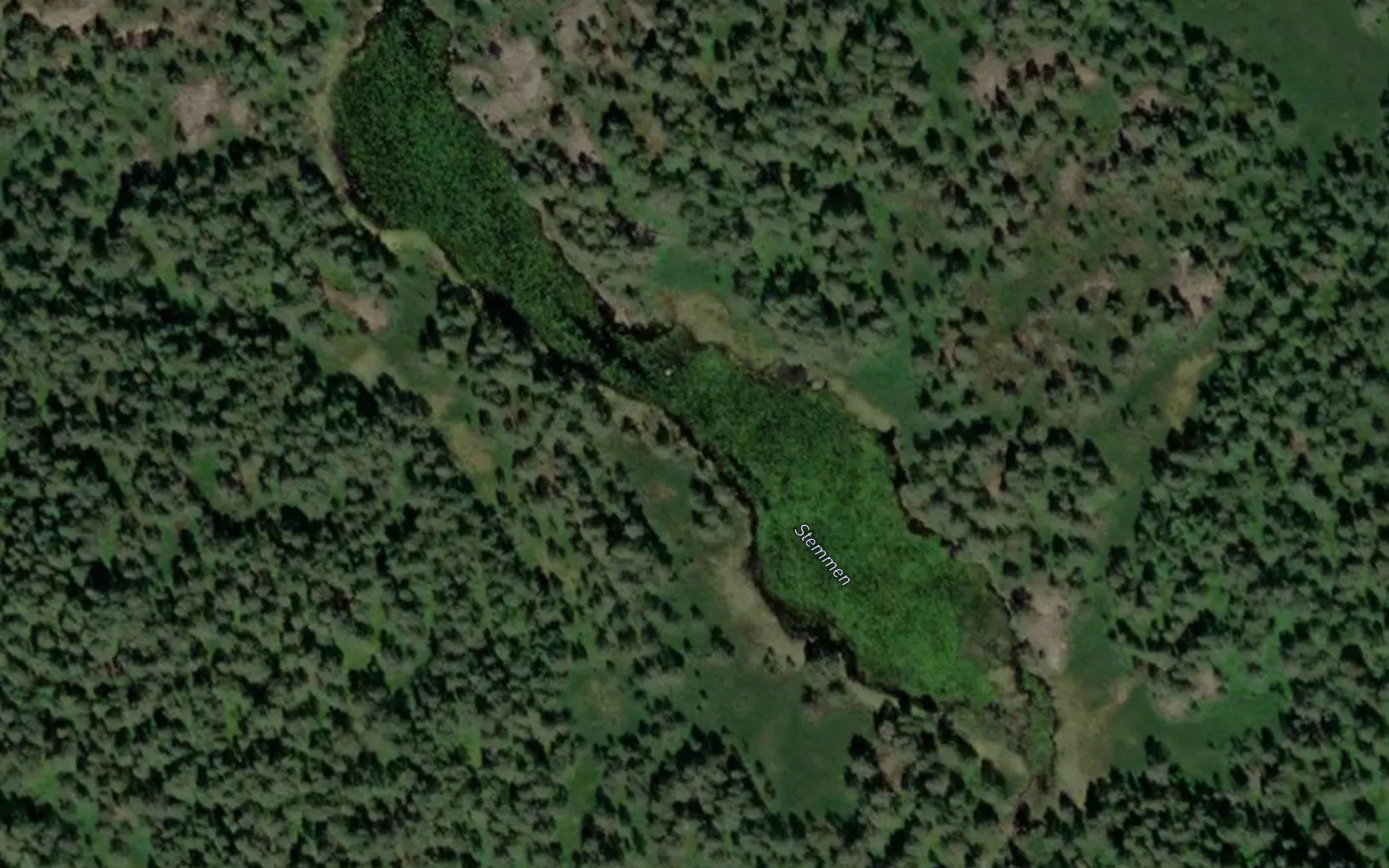 Stemmen