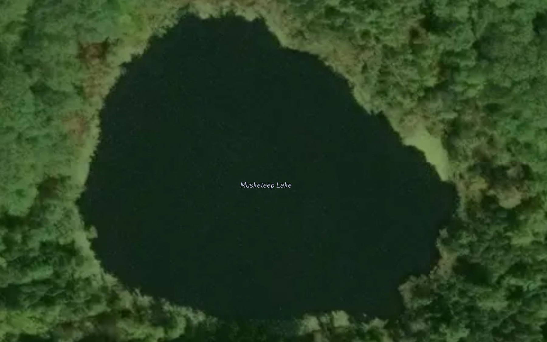 Satellite map of the Musketeep Lake