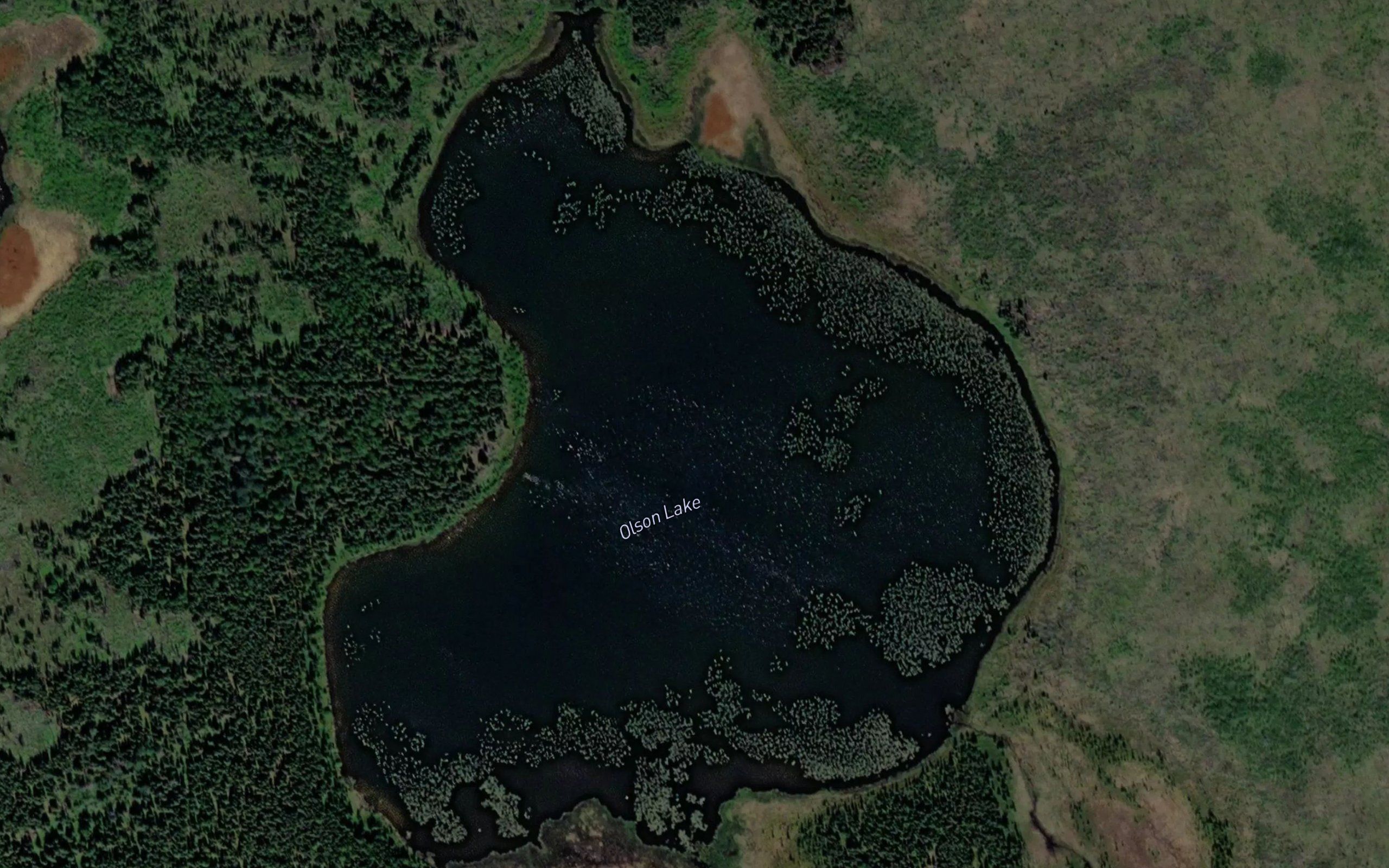 Olson Lake