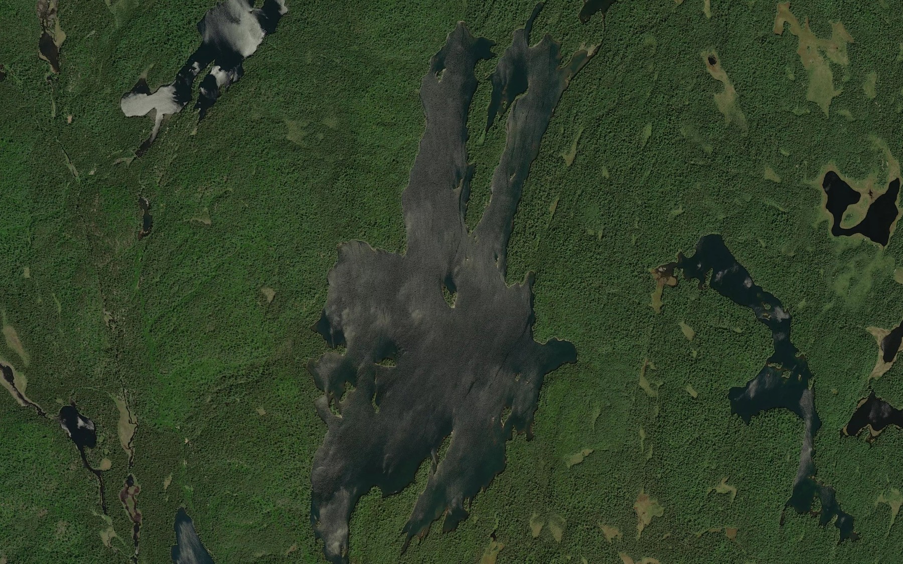 Satellite map of the Frederick Lake