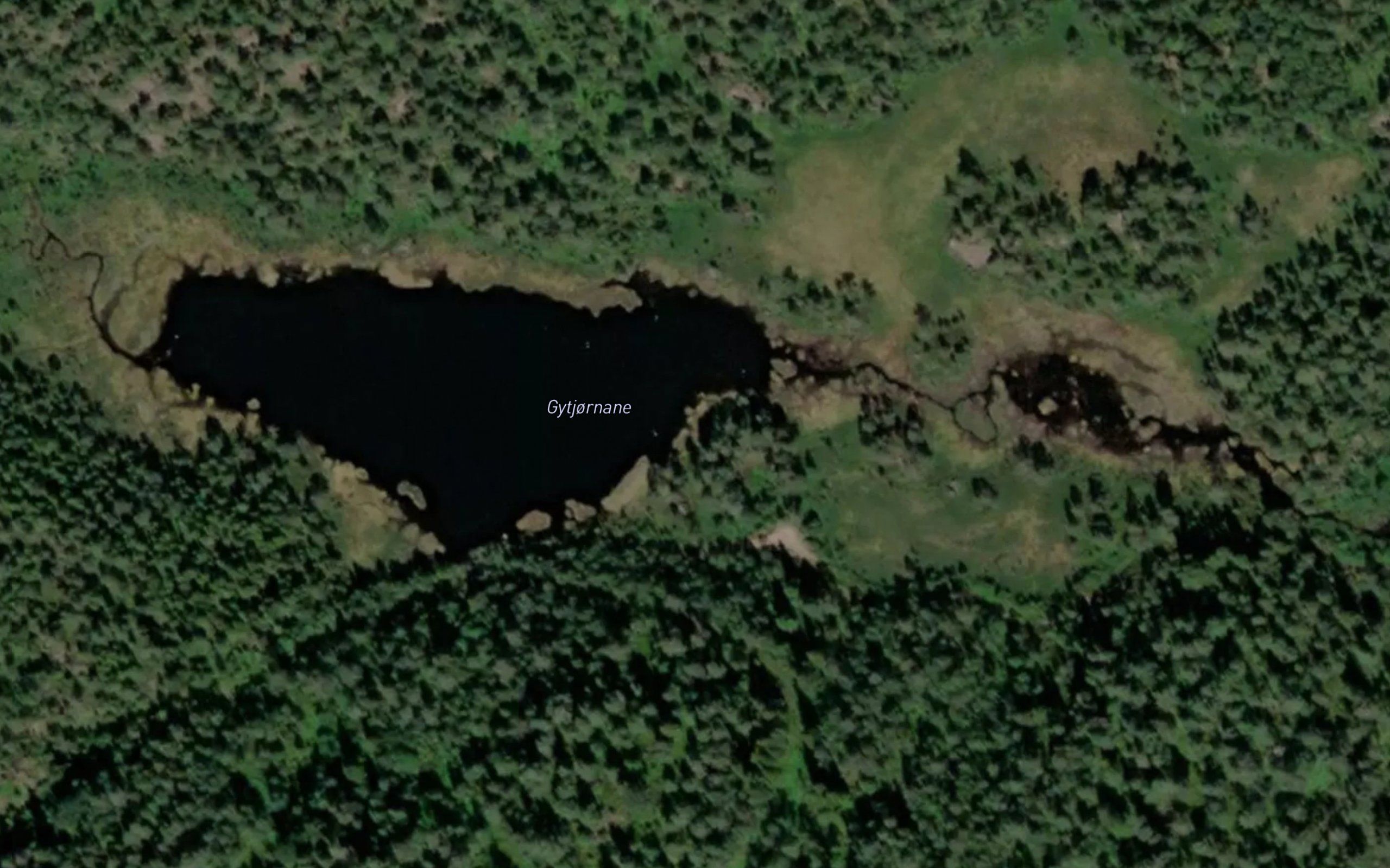 Gytjonn