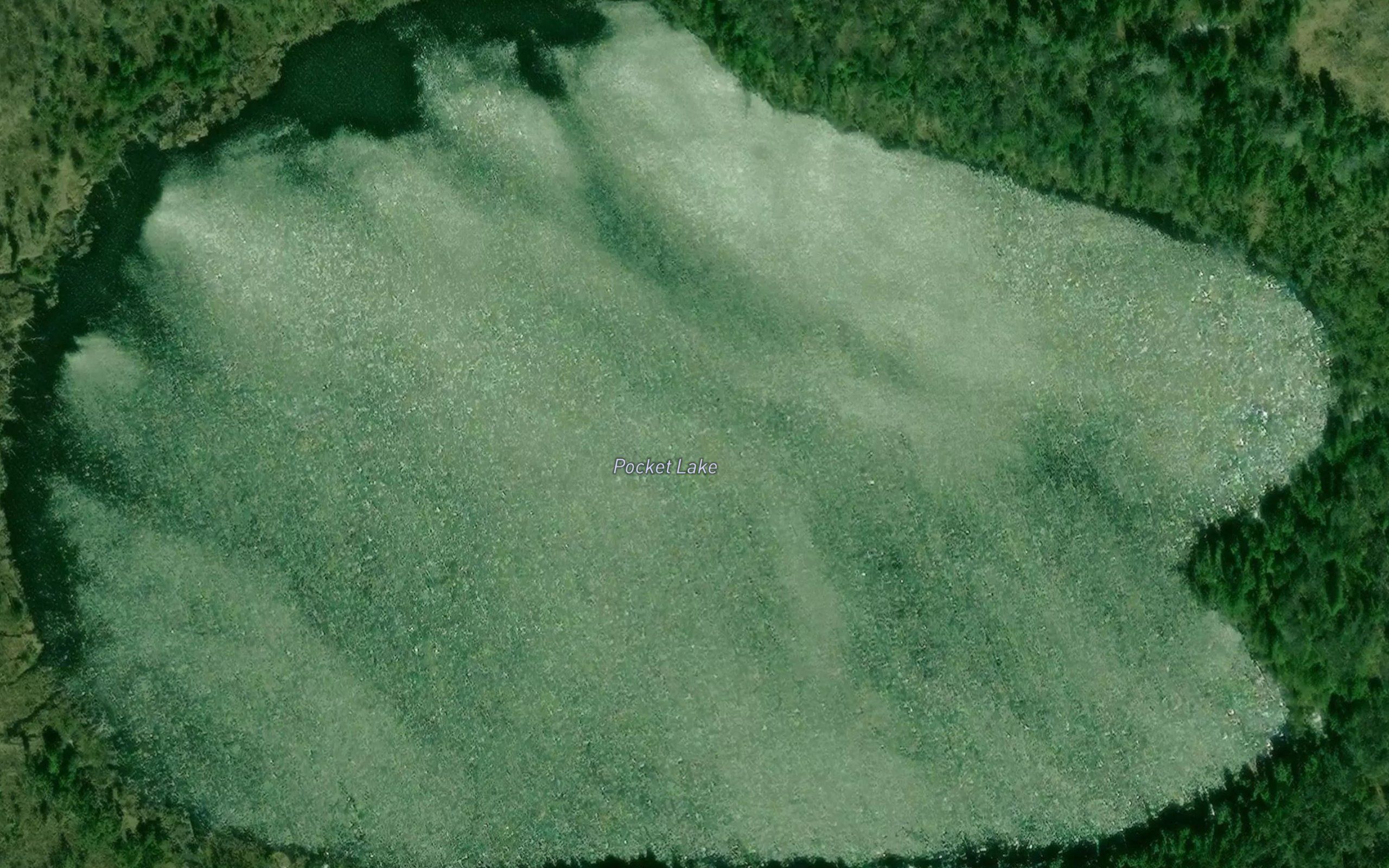 Pocket Lake