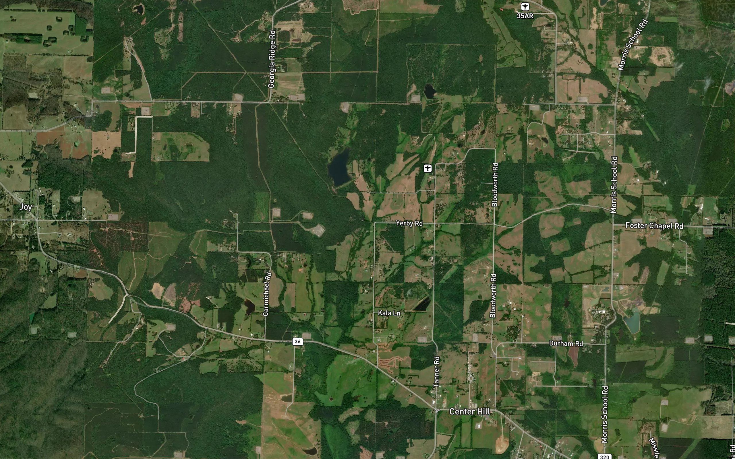 Morgan Branch