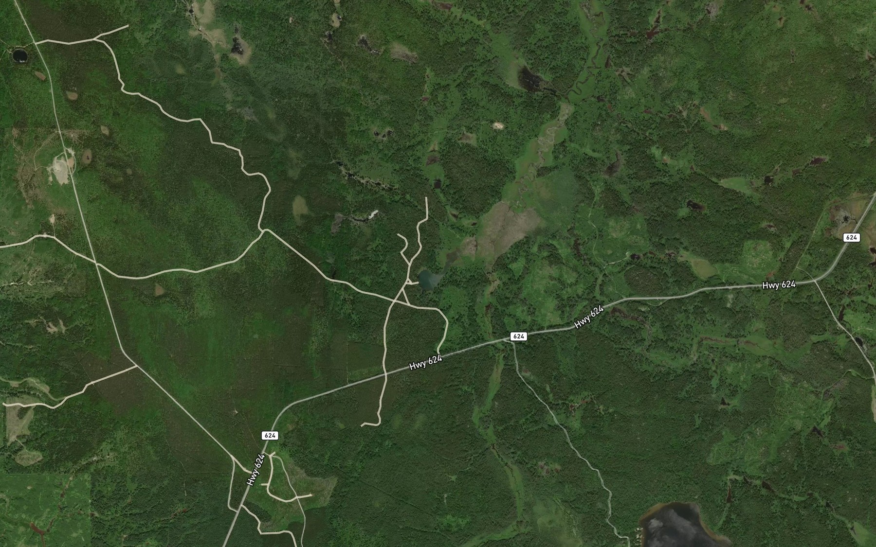 Satellite map of the Spring Lake