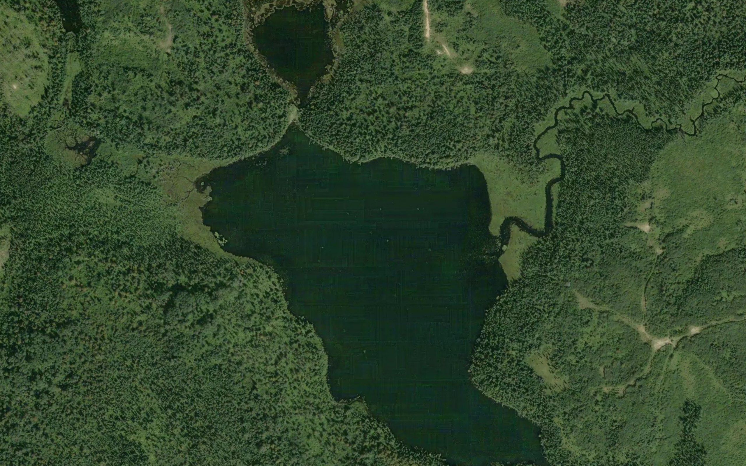 Angela Lake