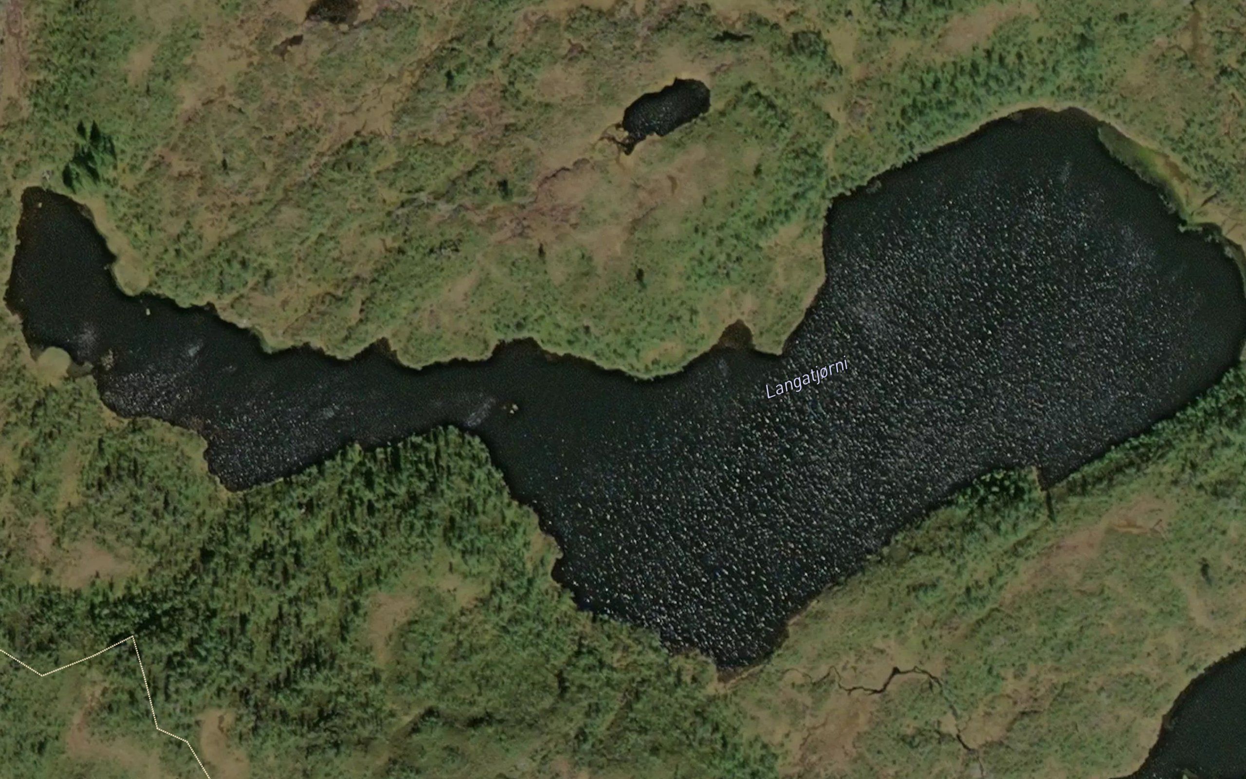 Langatjorni