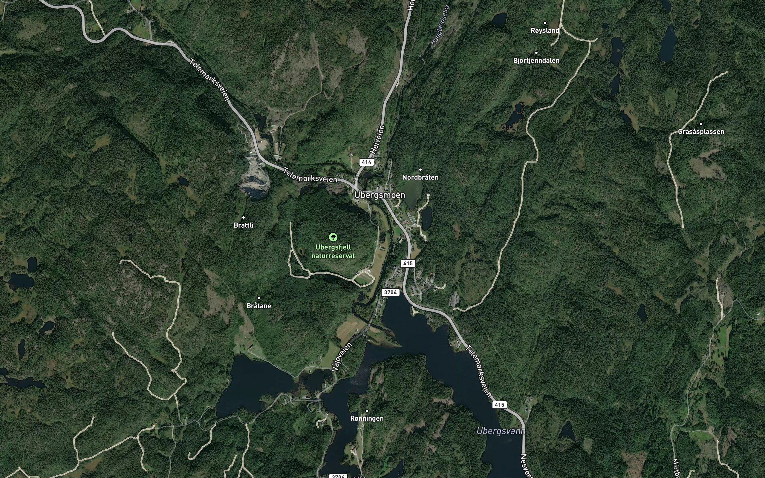 Haugtjenn