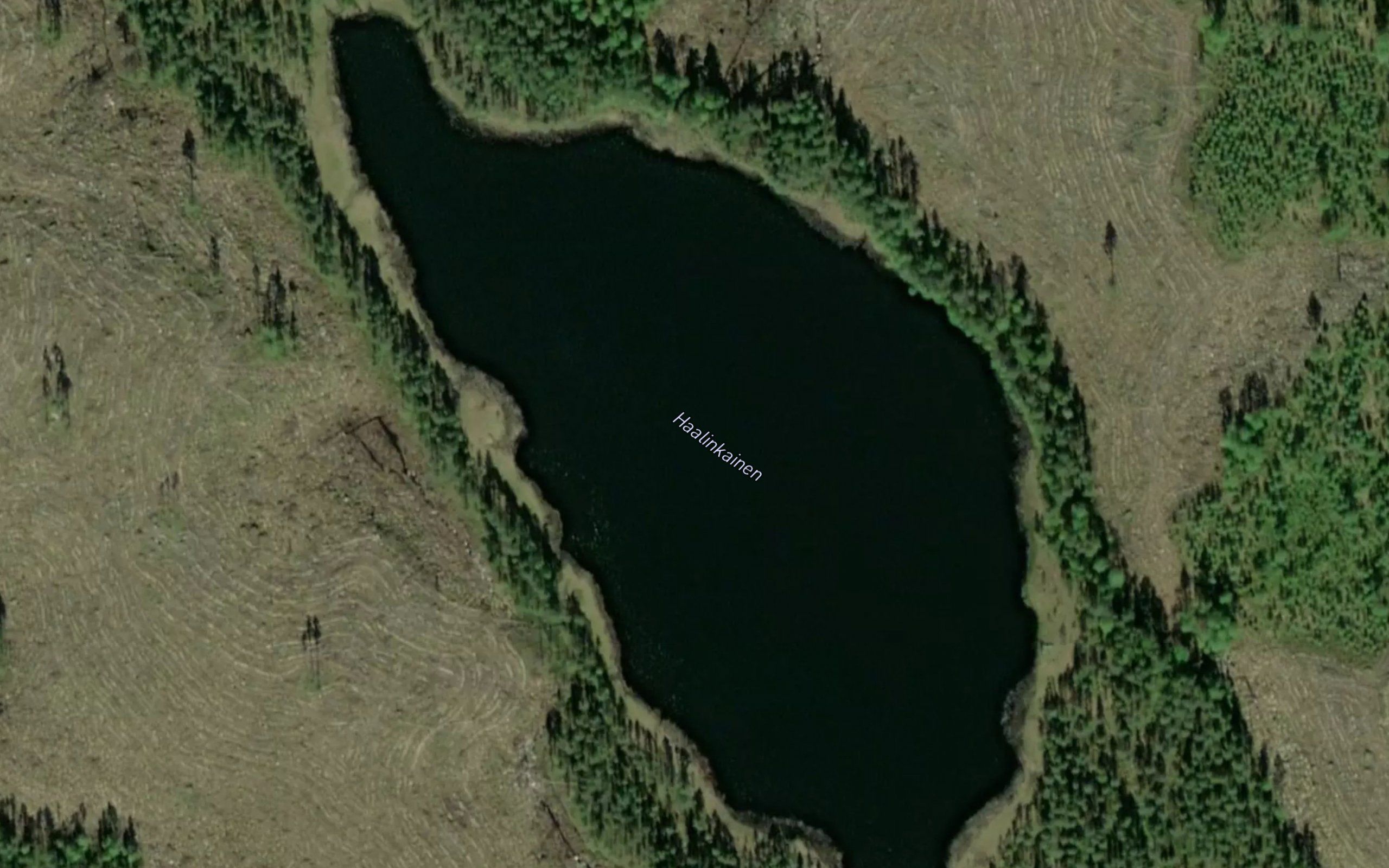 Haalinkainen