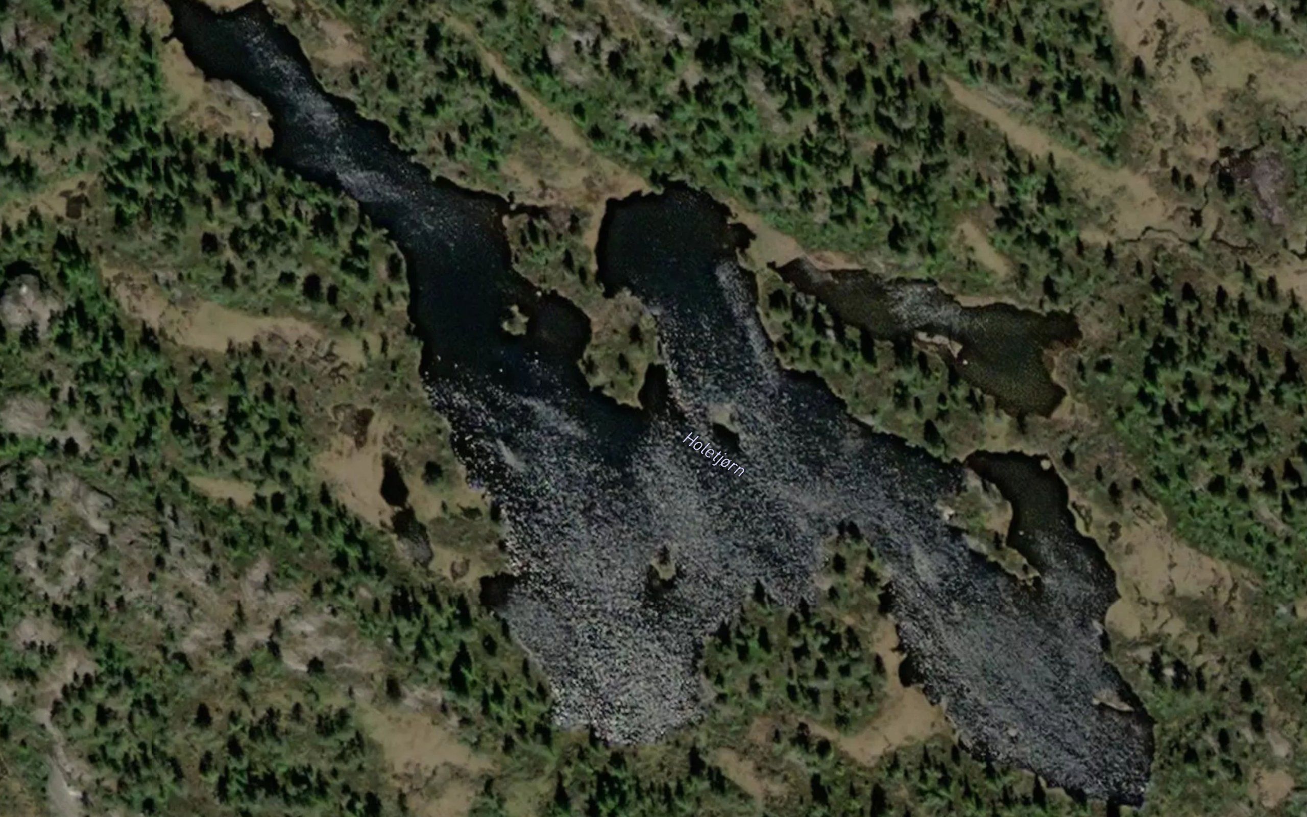 Holetjorn