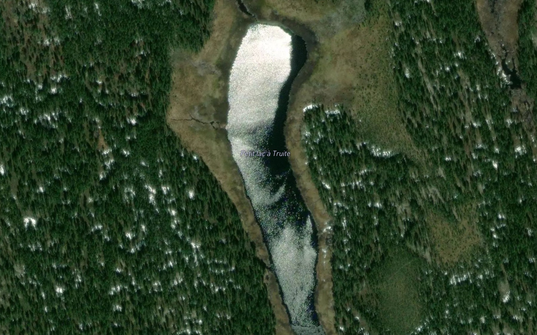Satellite map of the Petit laca Truite