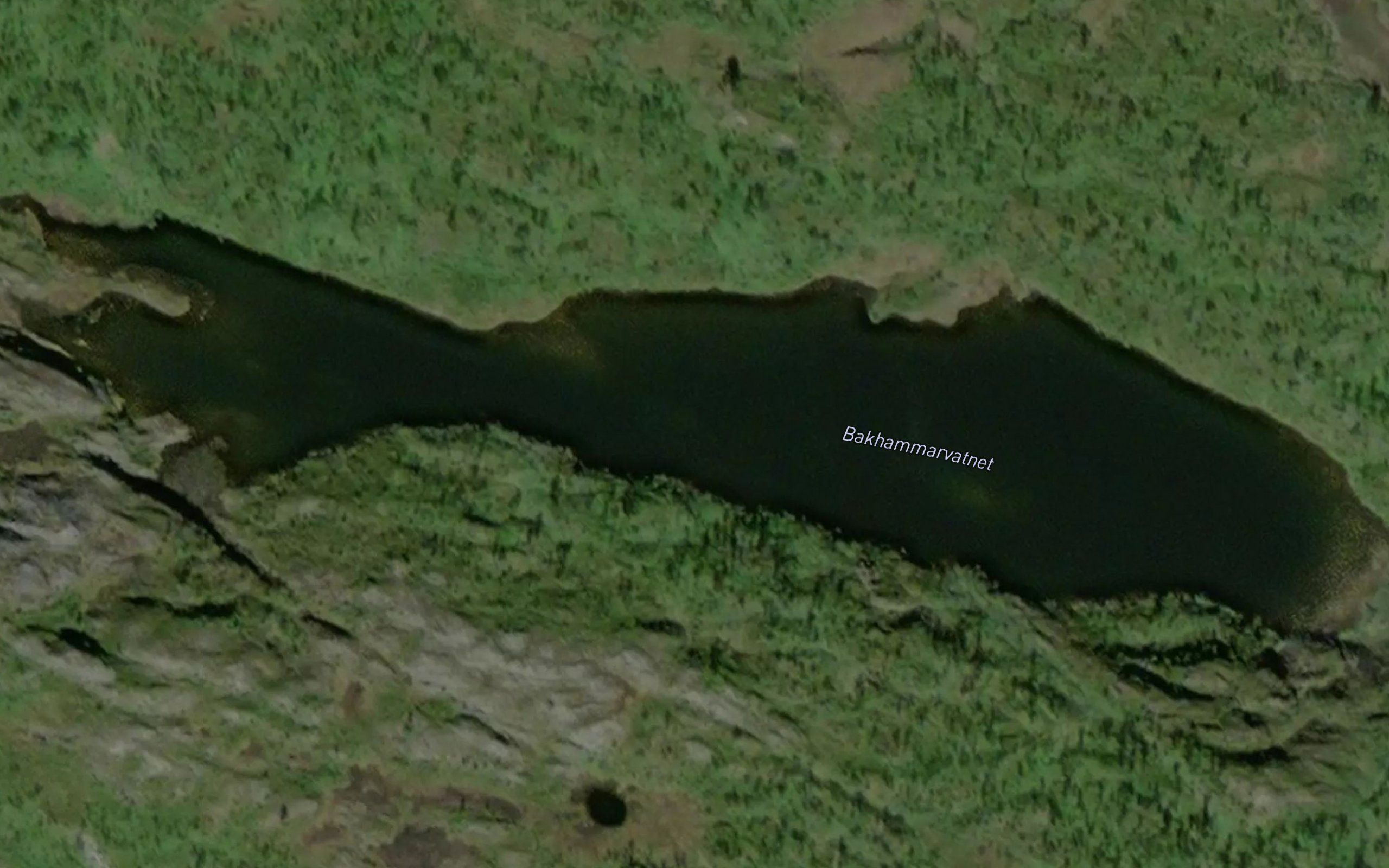 Bakhammarvatnet