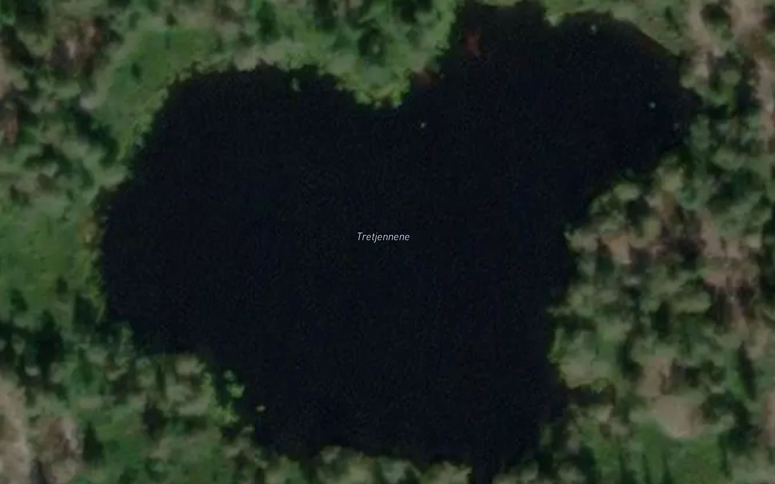 Tretjennene