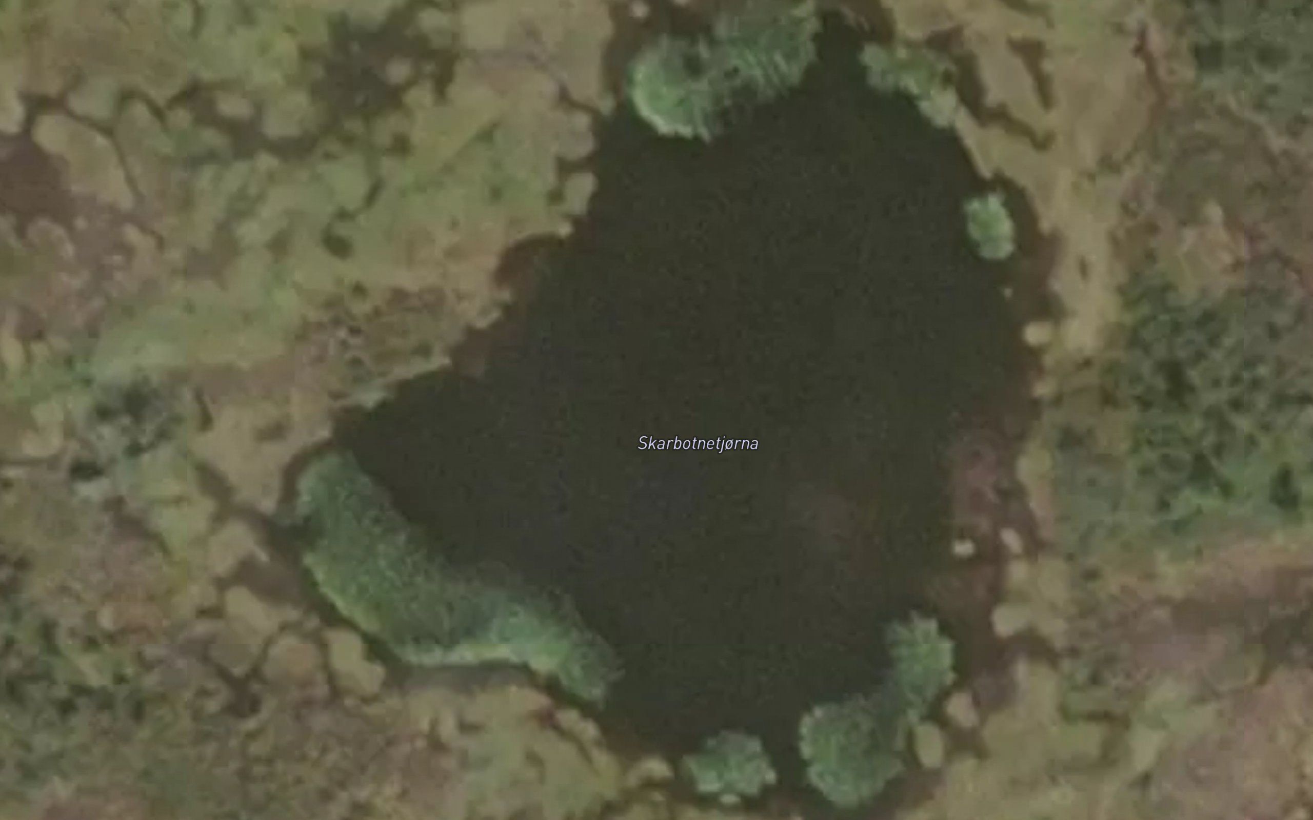 Skarbotnetjorna