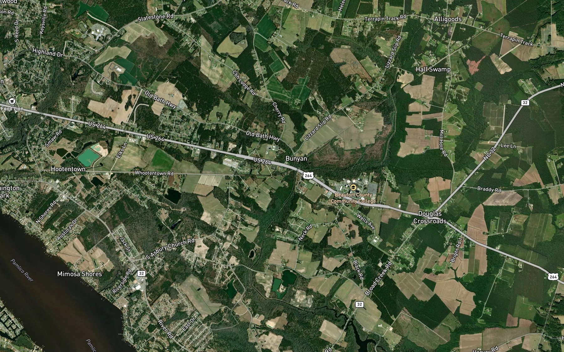 Satellite map of the Hall Swamp