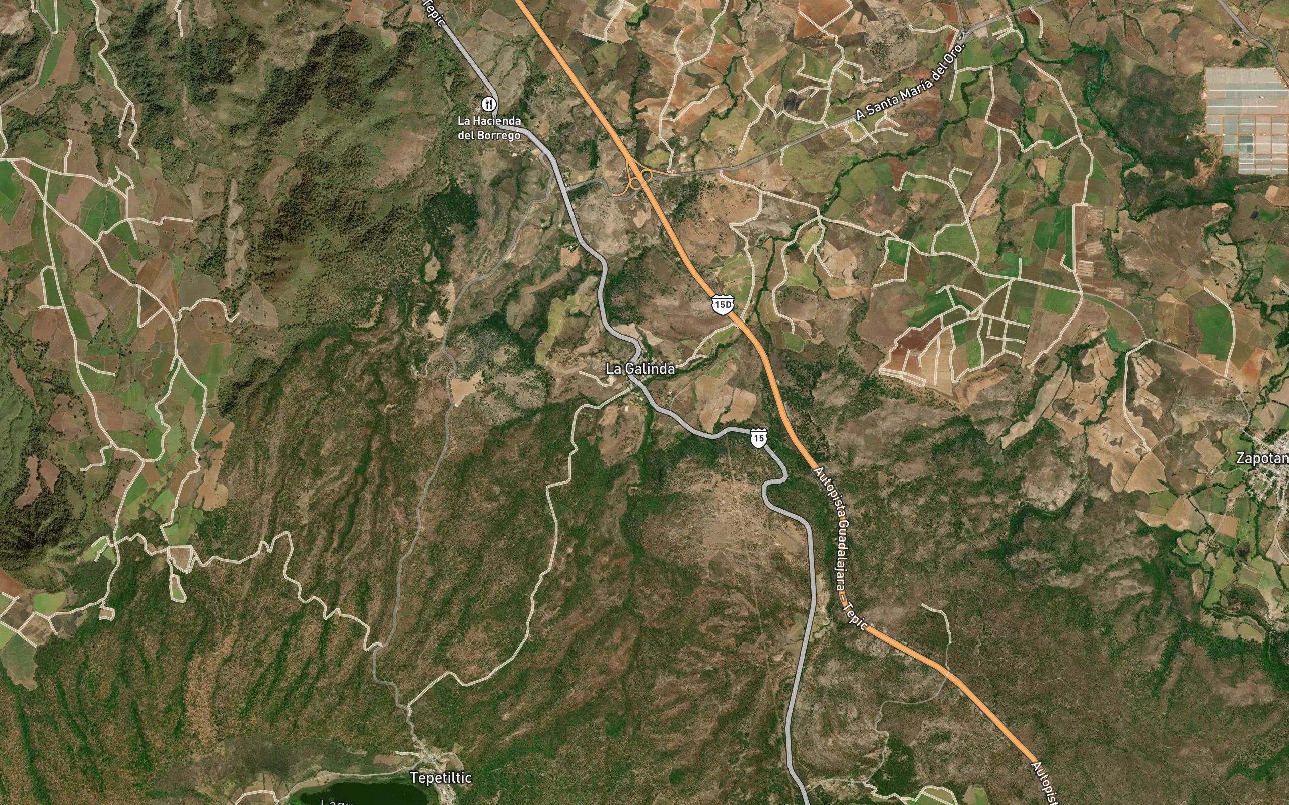 El Cordoncillo