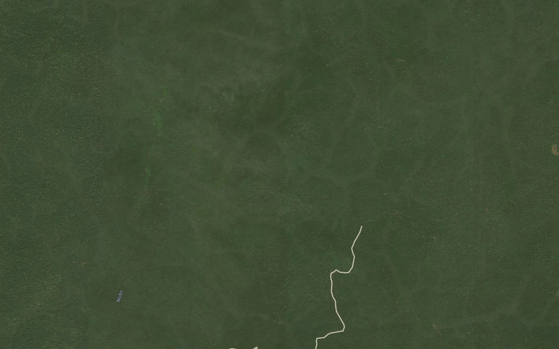Satellite map of the Mokoue