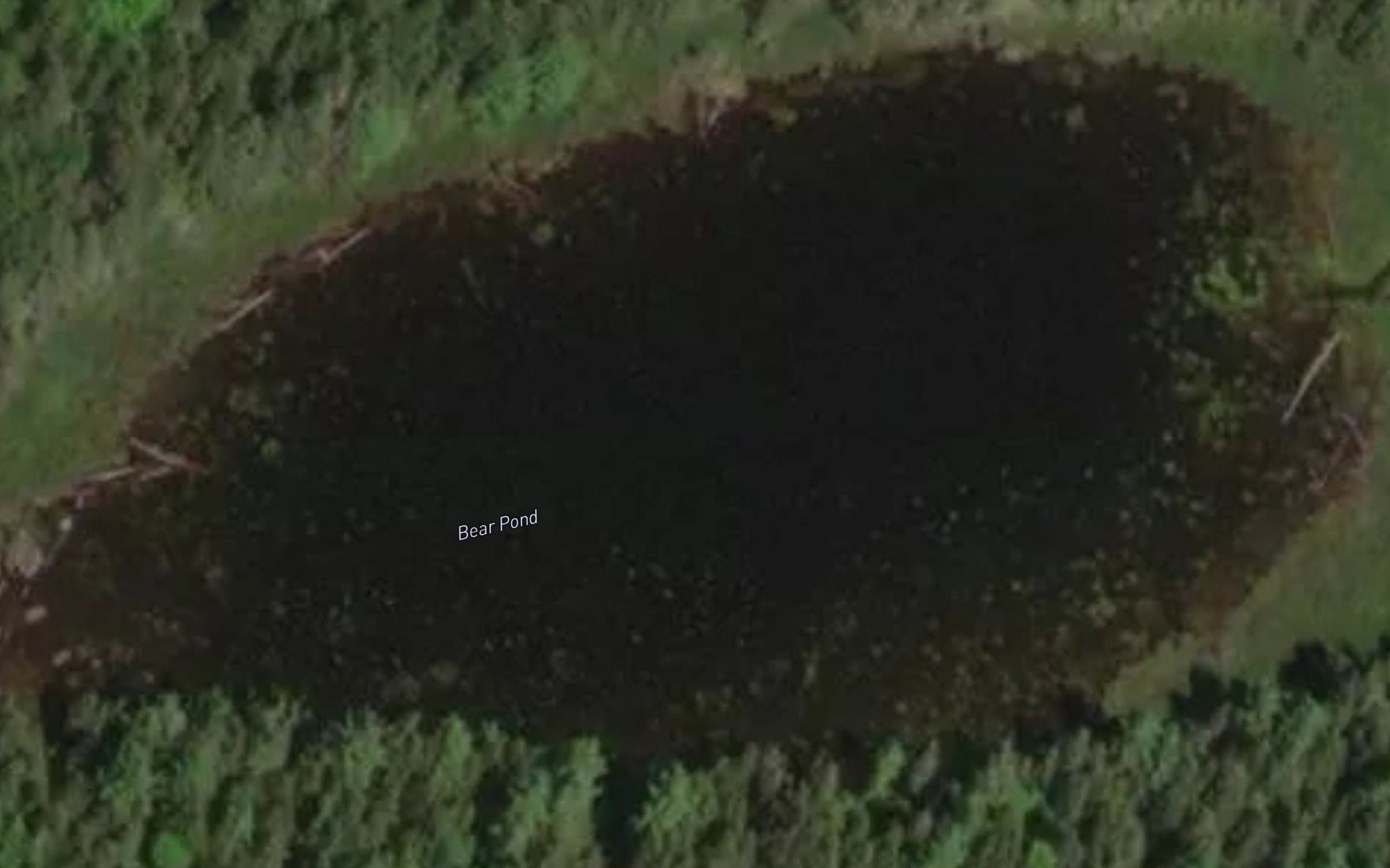 Bear Pond