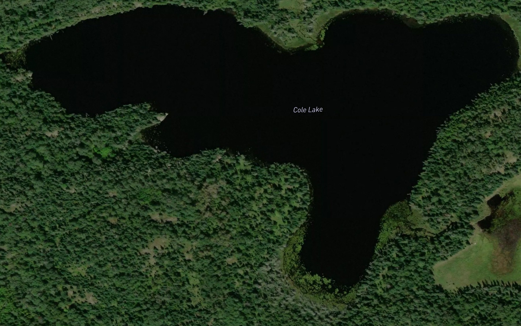 Satellite map of the Cole Lake