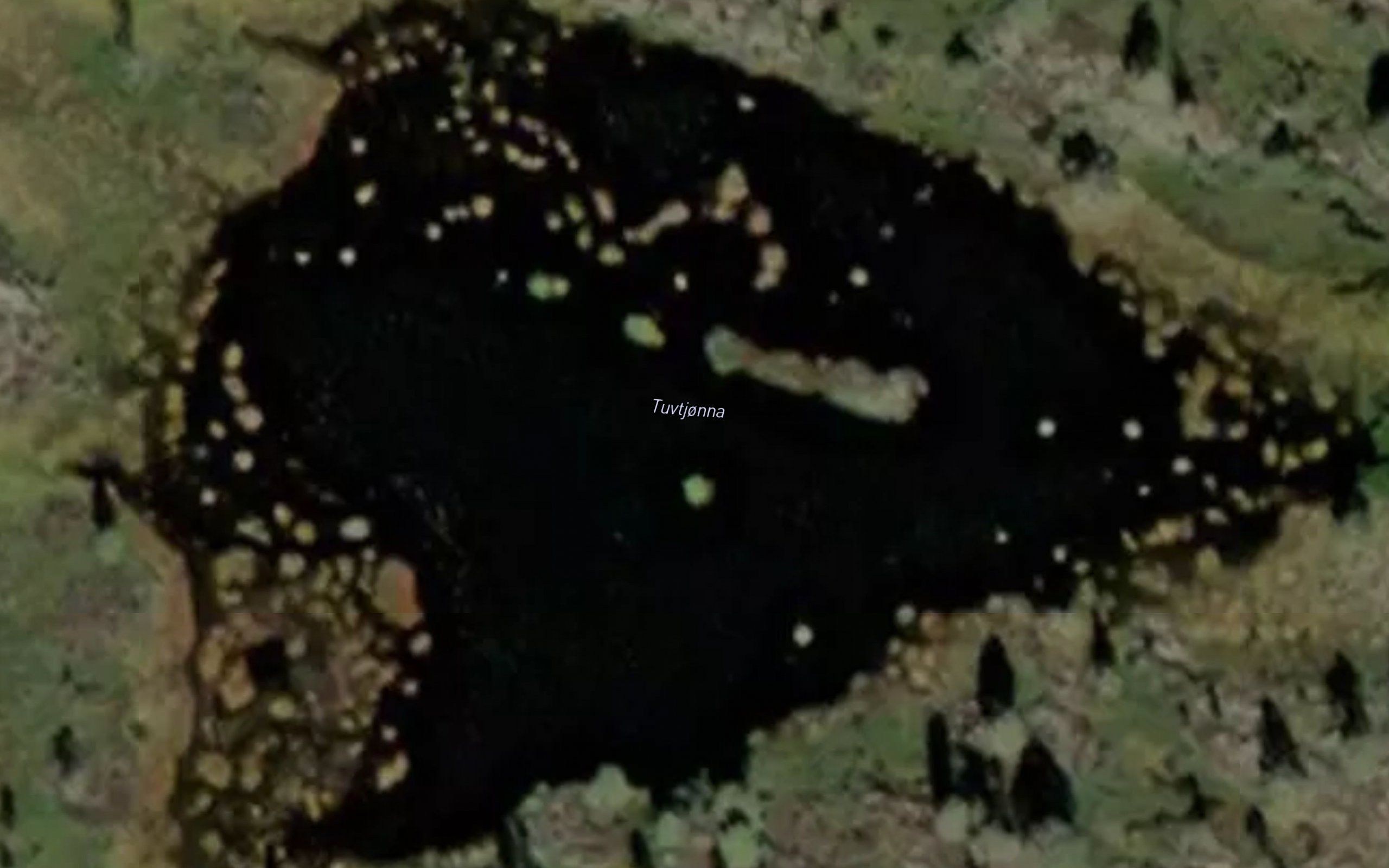Tuvtjorna