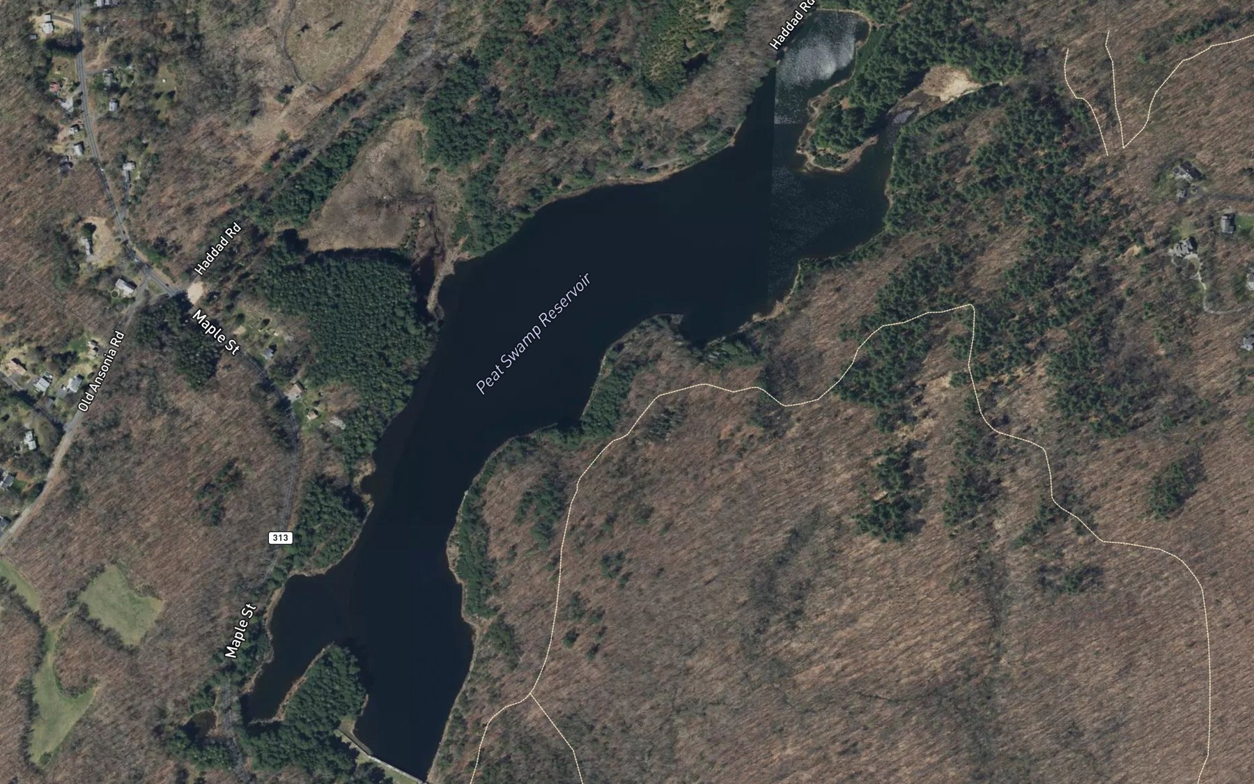Satellite map of the Peat Swamp Reservoir