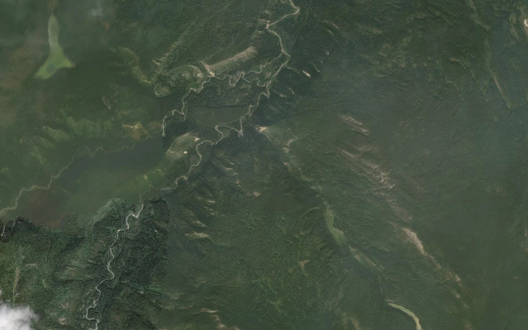 Satellite map of the Spring Creek