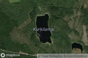 Kurkilampi