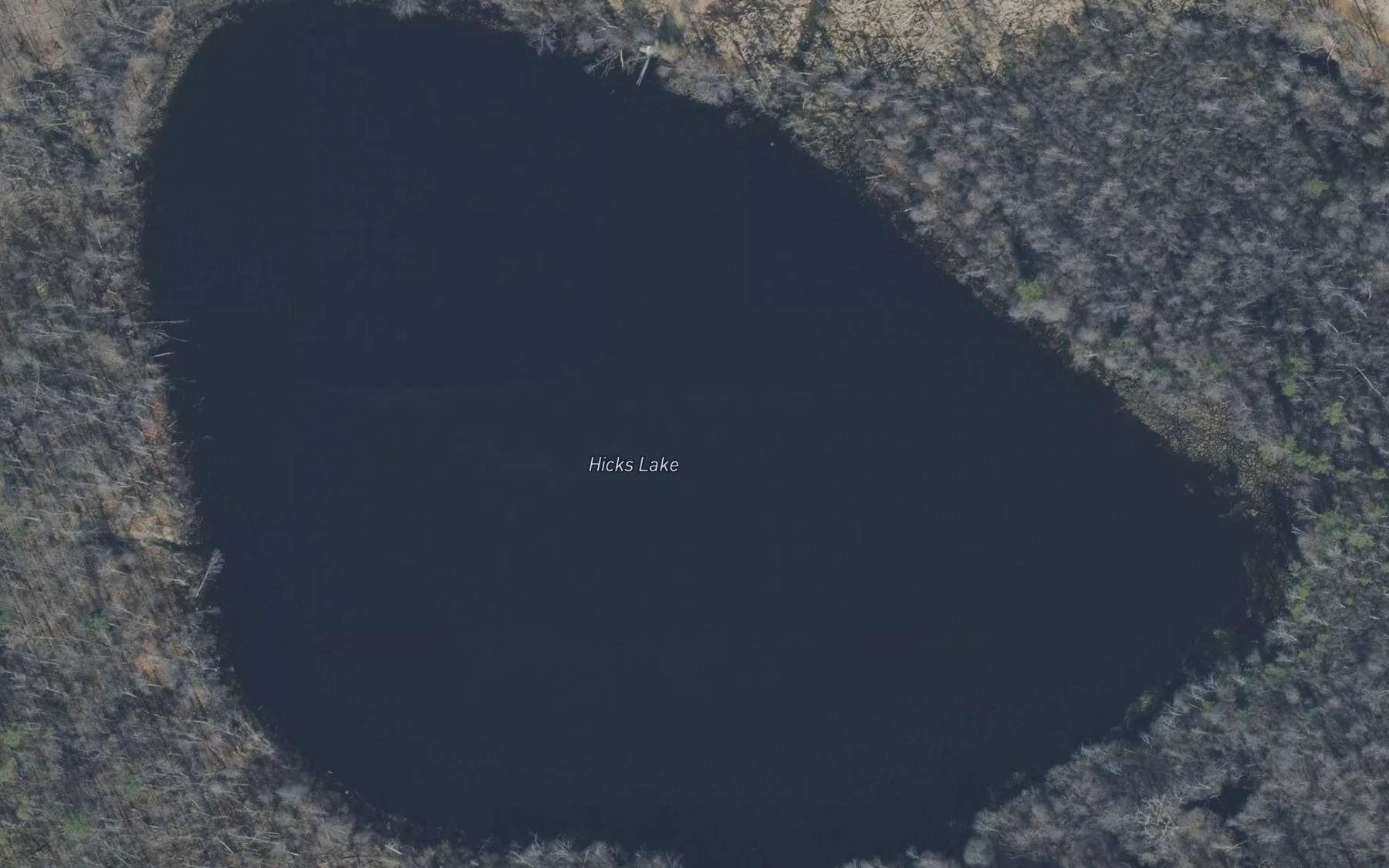 Satellite map of the Hicks Lake