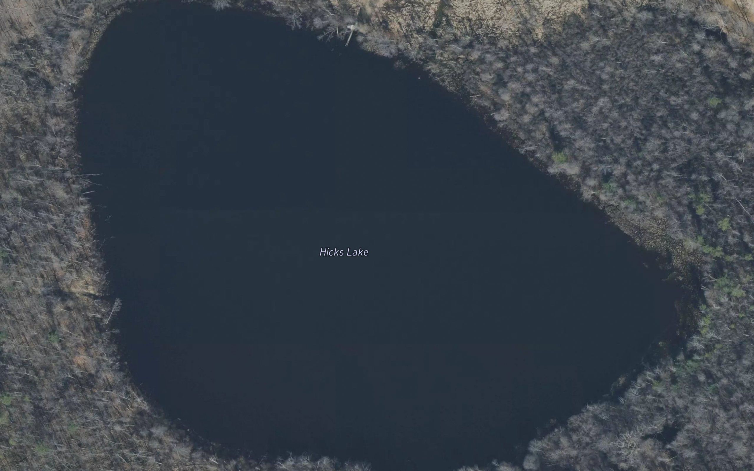 Hicks Lake