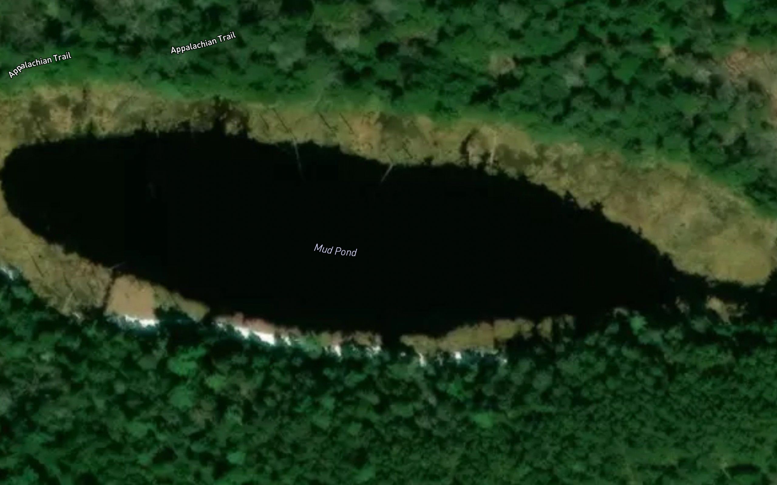 Mud Pond