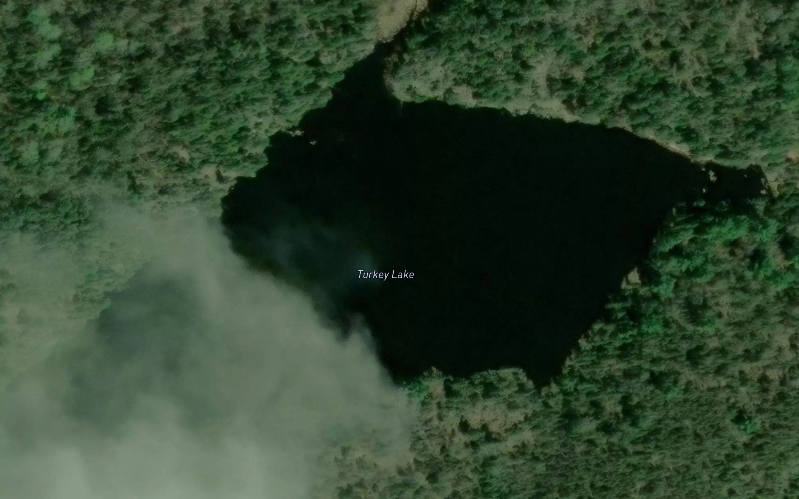 Turkey Lake