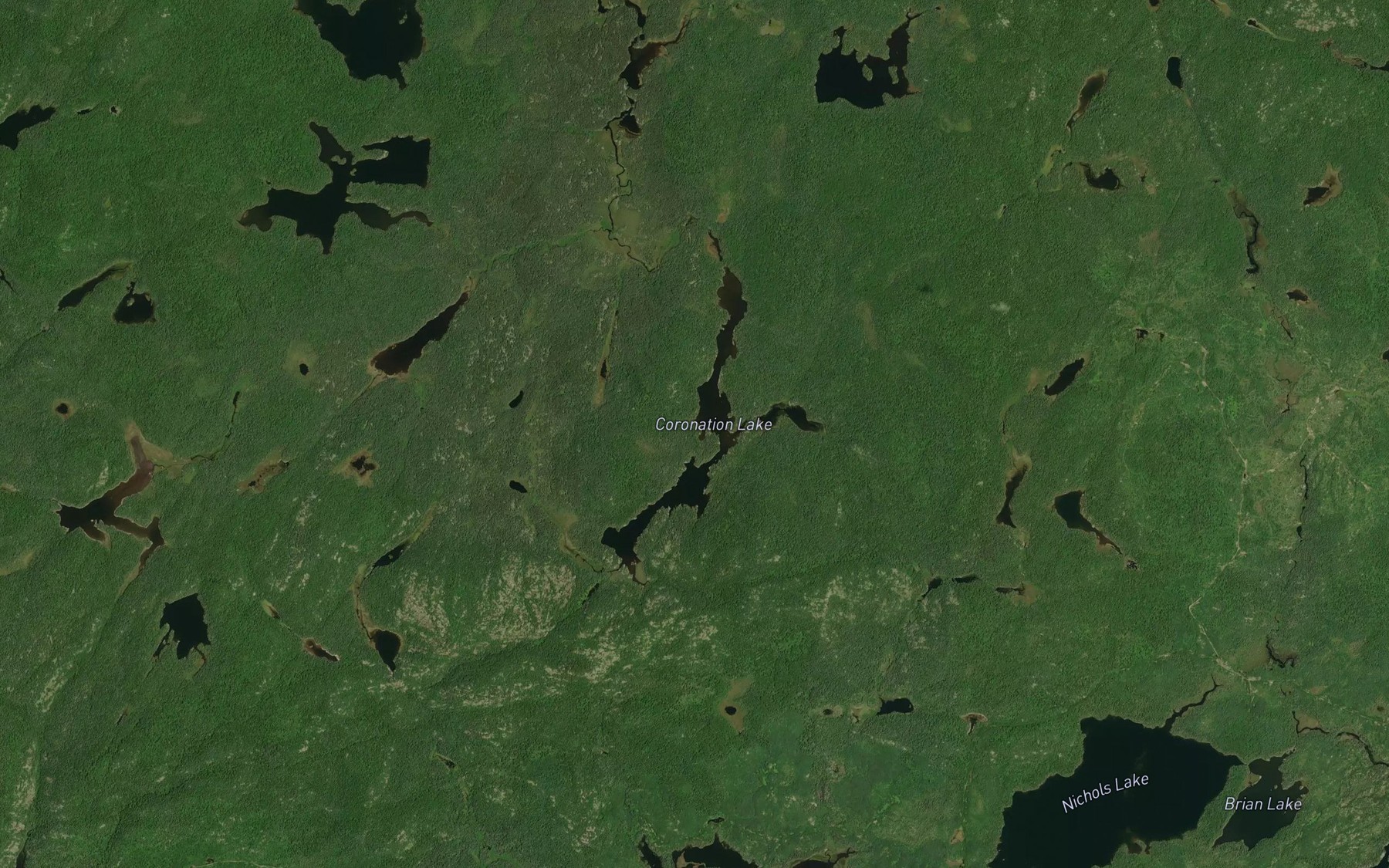 Satellite map of the Coronation Lake