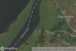 Obugo