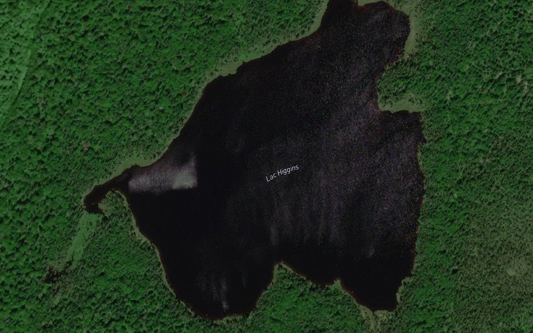 Satellite map of the Lac Higgins
