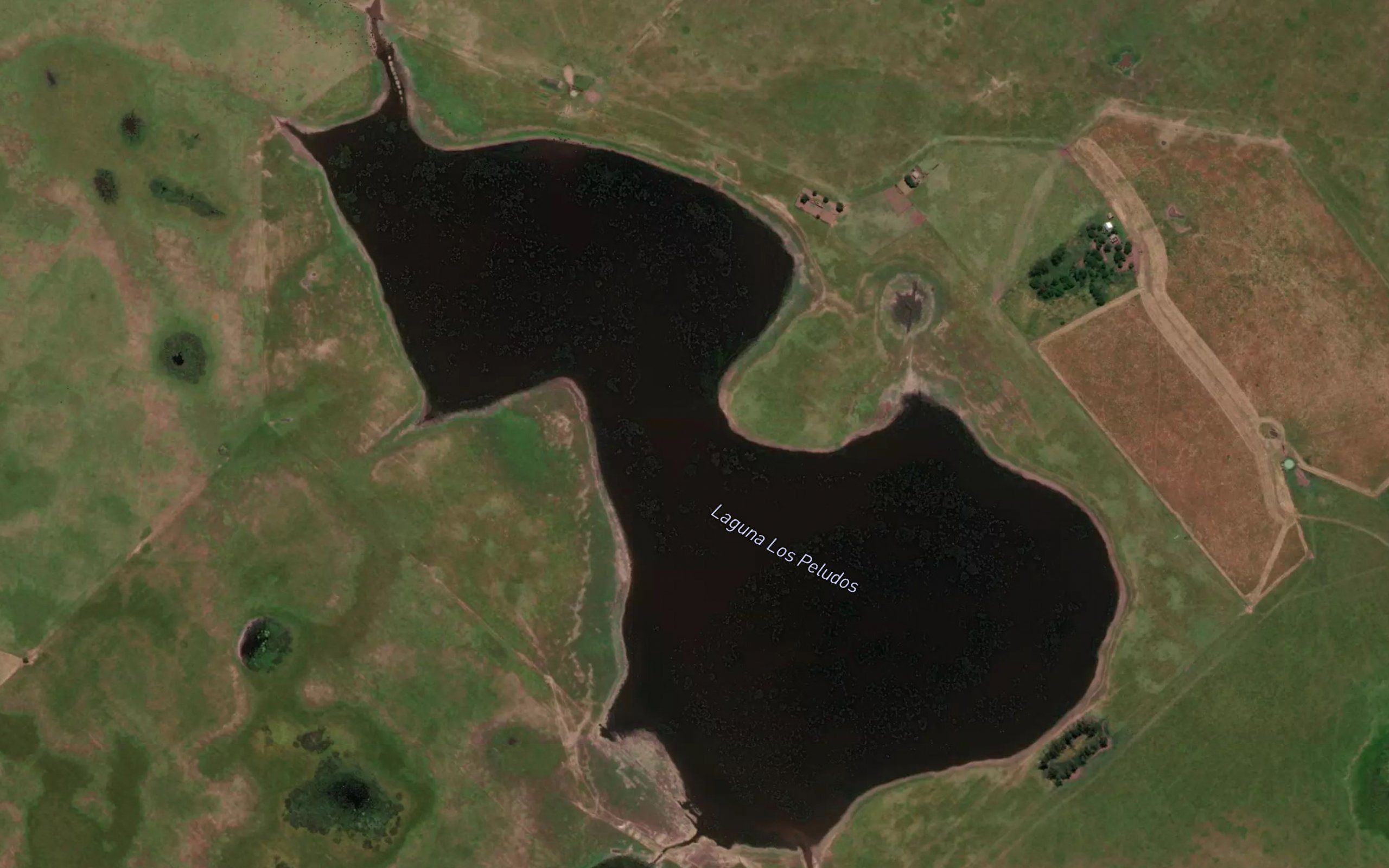 Laguna Los Peludos