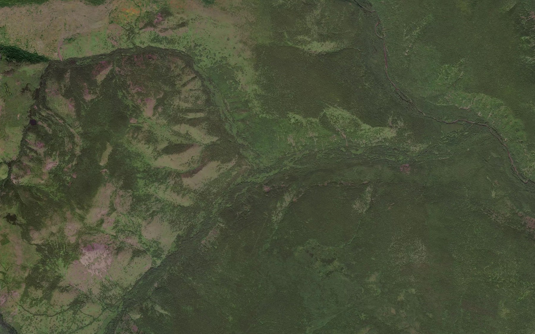 Satellite map of the Vas'kin