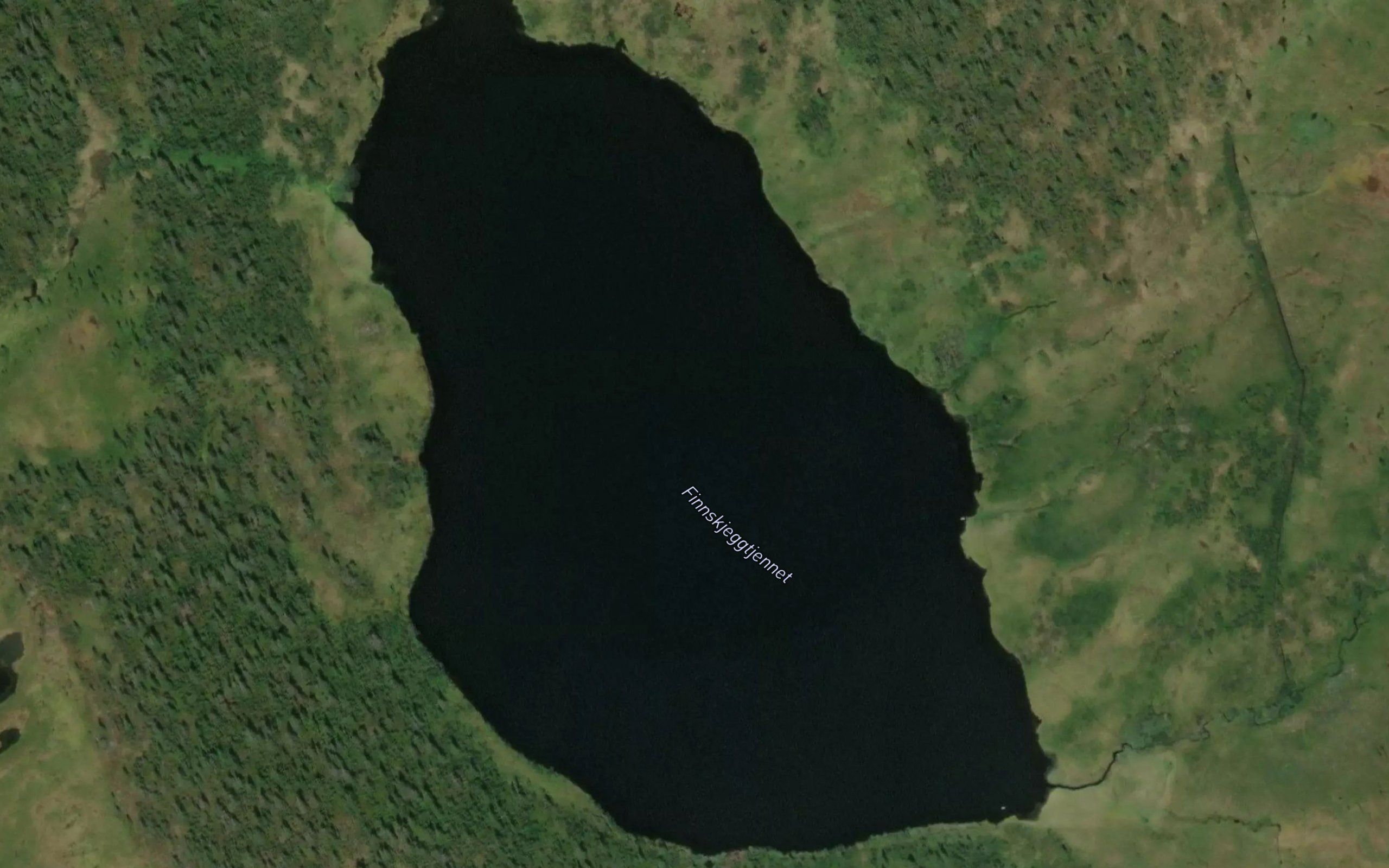 Finnskjeggtjernet
