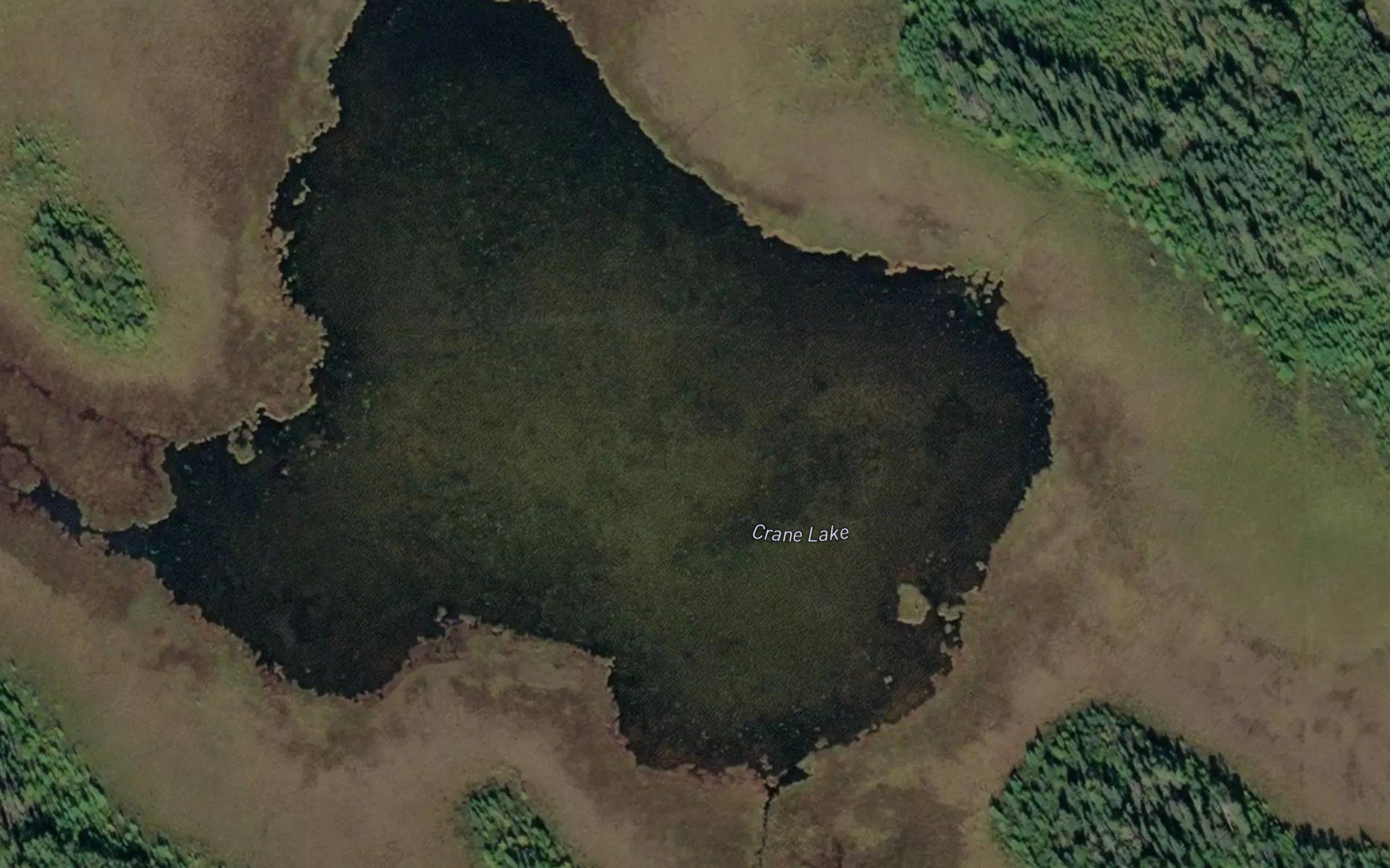 Crane Lake