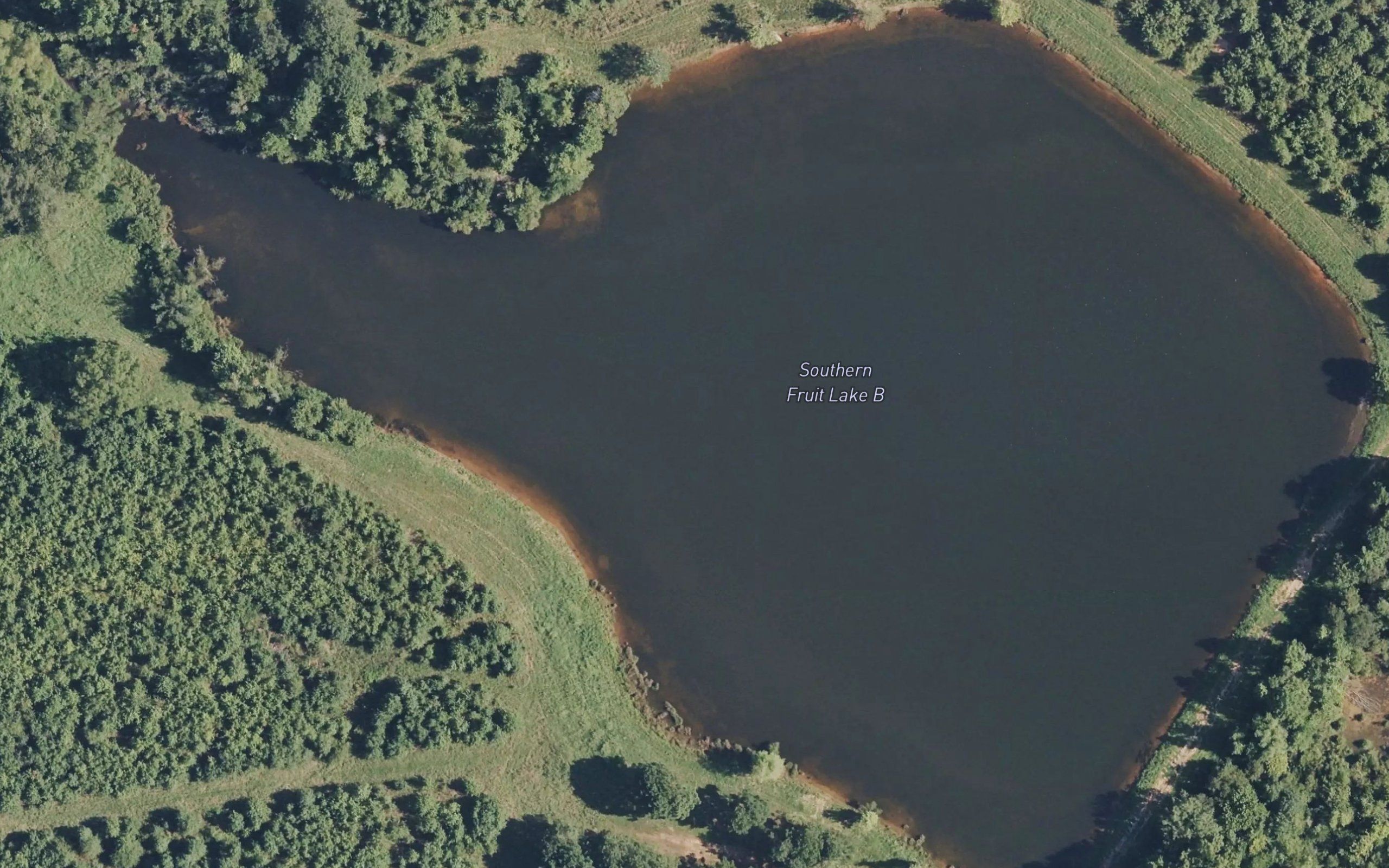Southern Fruit Lake B