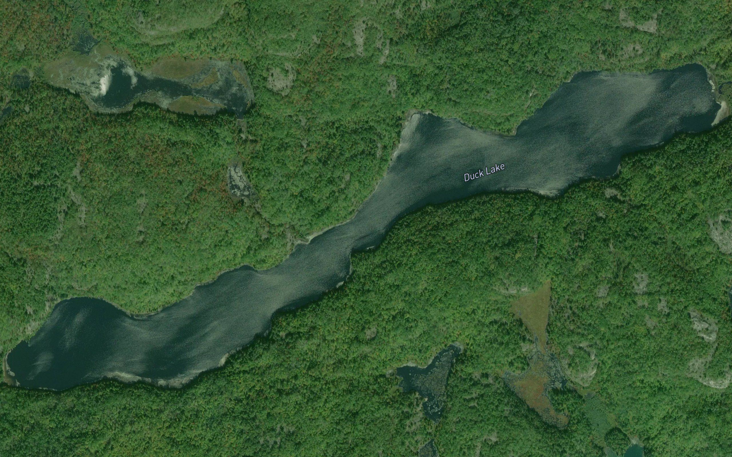 Duck Lake